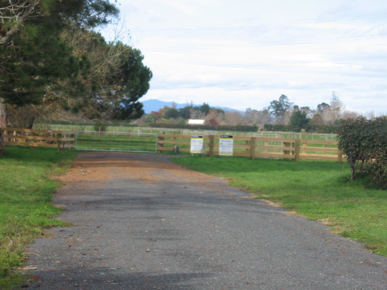 Lot 3 - 184 Holland Road, Hamilton, Hamilton City