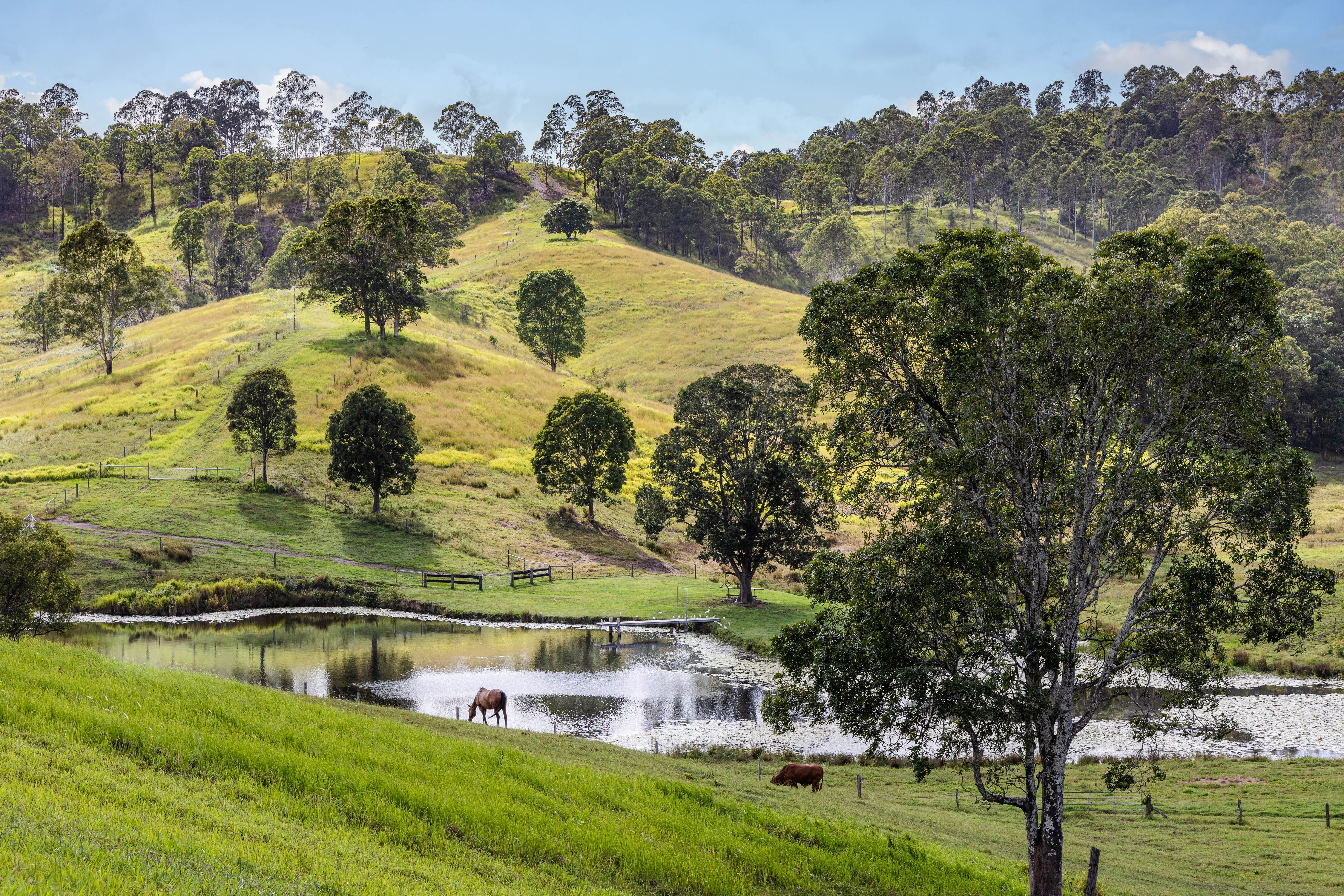 'Young Hills' — photo 20 of 30