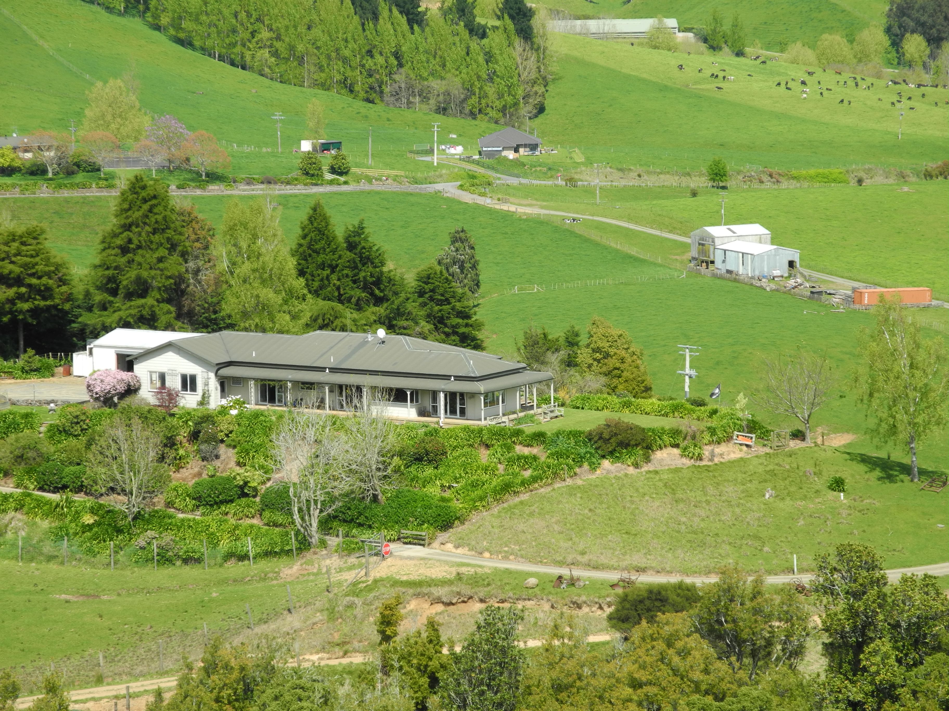 171 Hewson Road, Rotoorangi, Waipa District