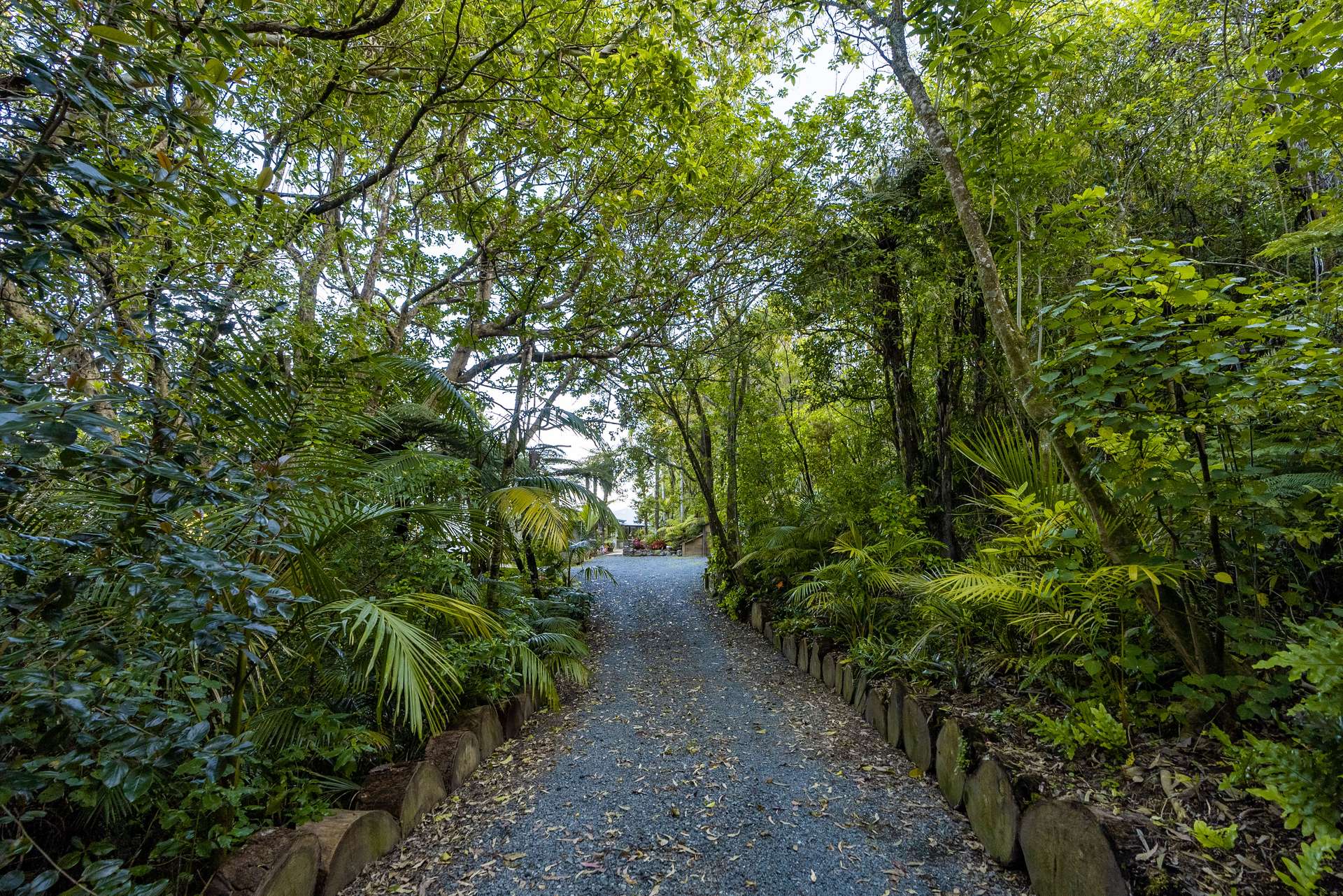 803 Whangarei Heads Road photo 2