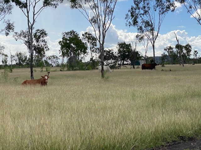 51 Spring Creek Road,, Wycarbah QLD 4702