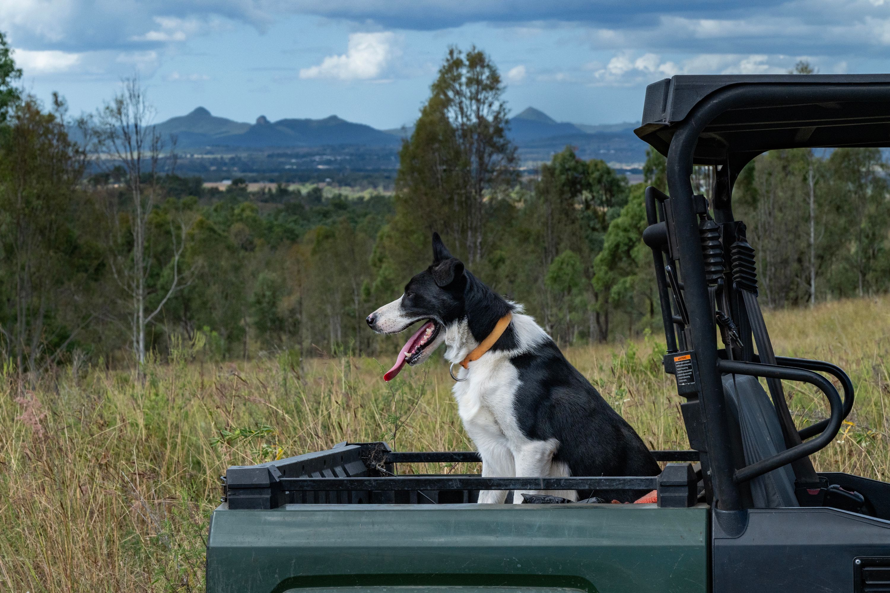 2584 Rosewood-Warrill View Road, Coleyville, QLD 4307