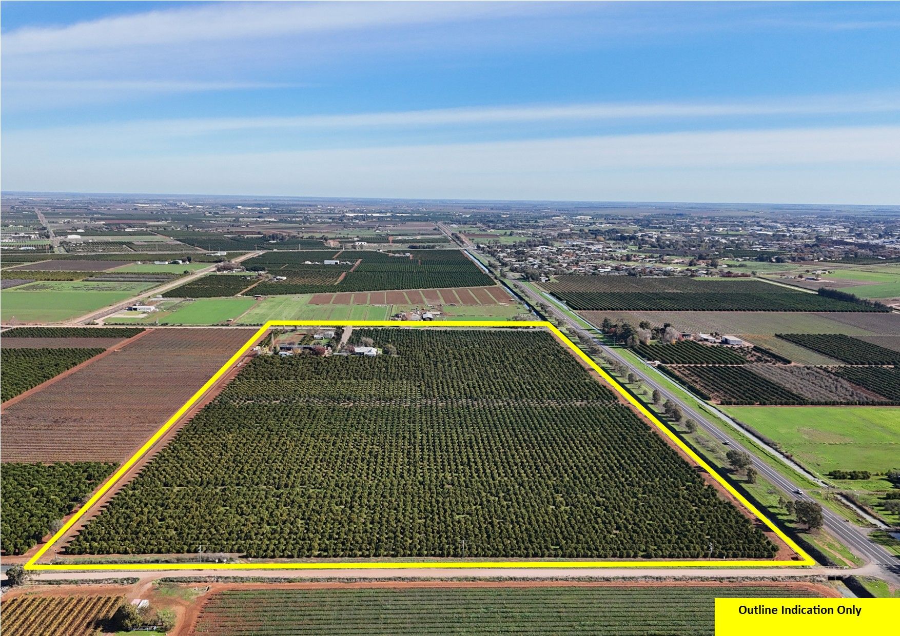 Farm 253/29 Ross Road, Yoogali, NSW 2680