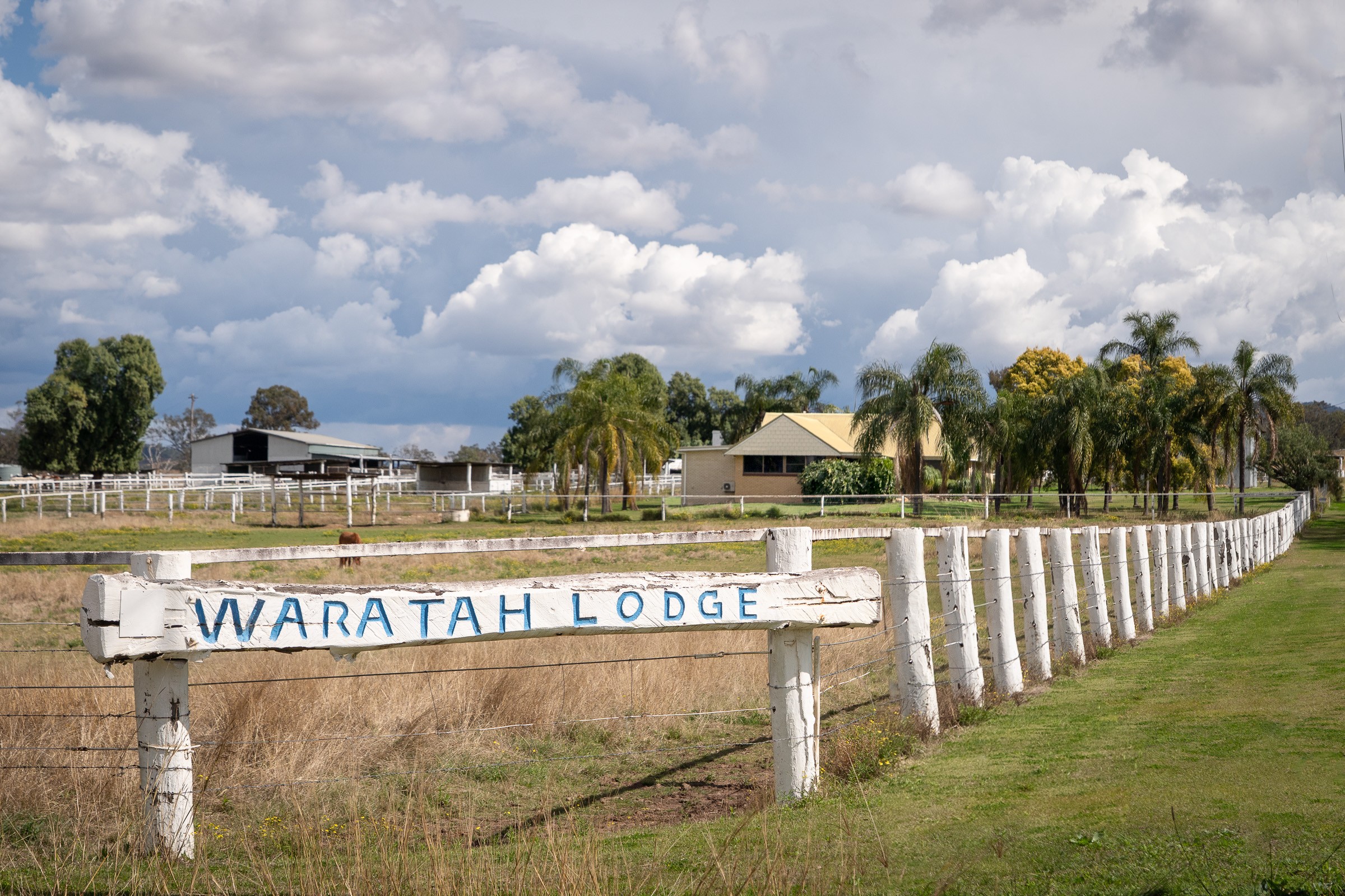 16 Sealeys Road, Harrisville, QLD 4307