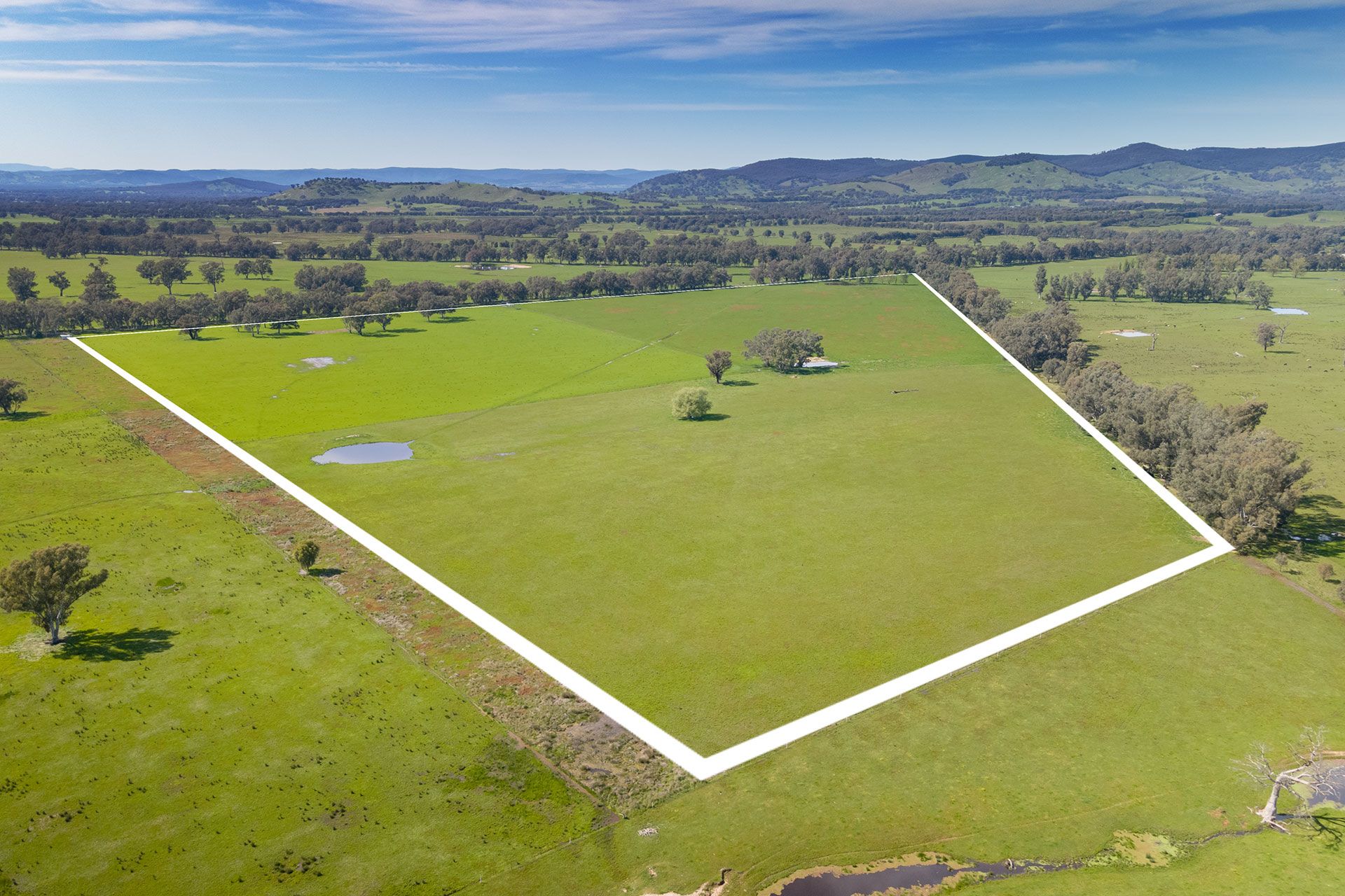 Lot 2 LP139833 BenallaWarrenbayne Road, Baddaginnie, VIC 3670 Sold