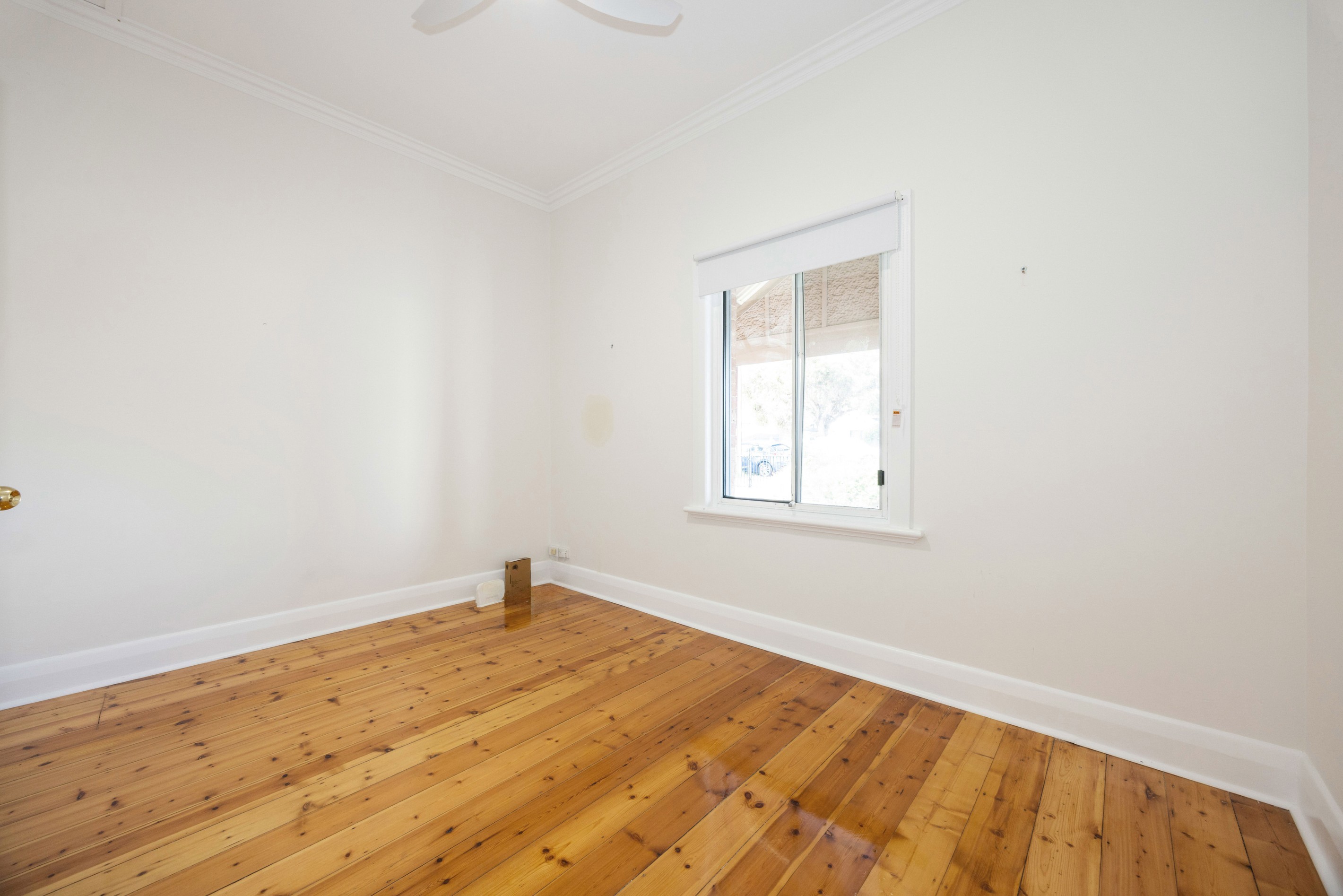 35 Wright Street, Edwardstown, SA 5039