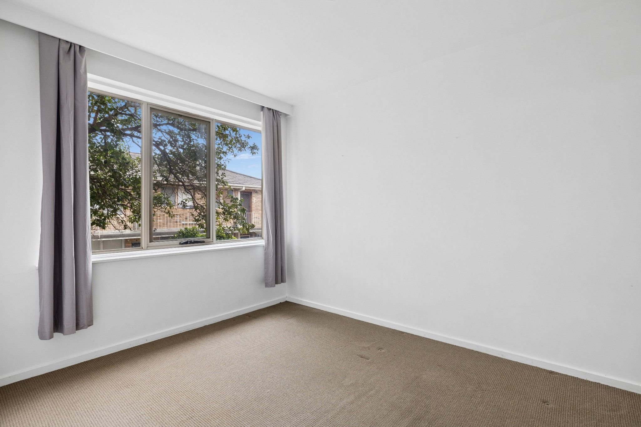 4/446 Albion Street — photo 8 of 11
