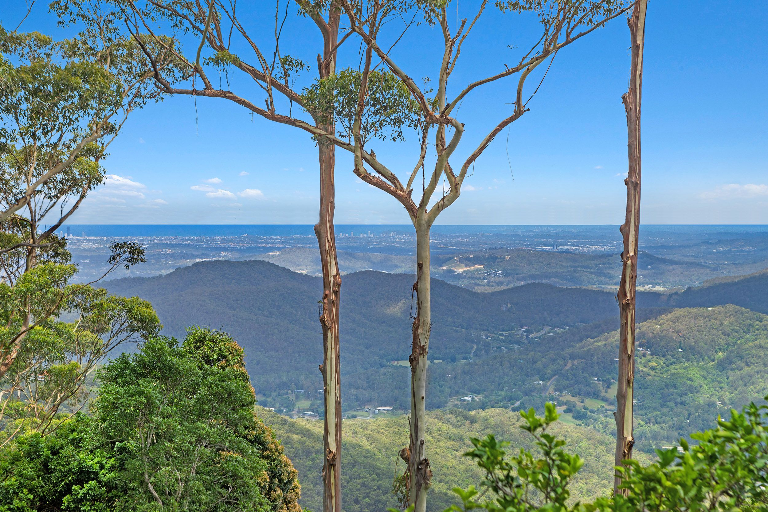 48 Coomera Drive, Tamborine Mountain, QLD 4272 Sold House Ray White Tamborine Mountain