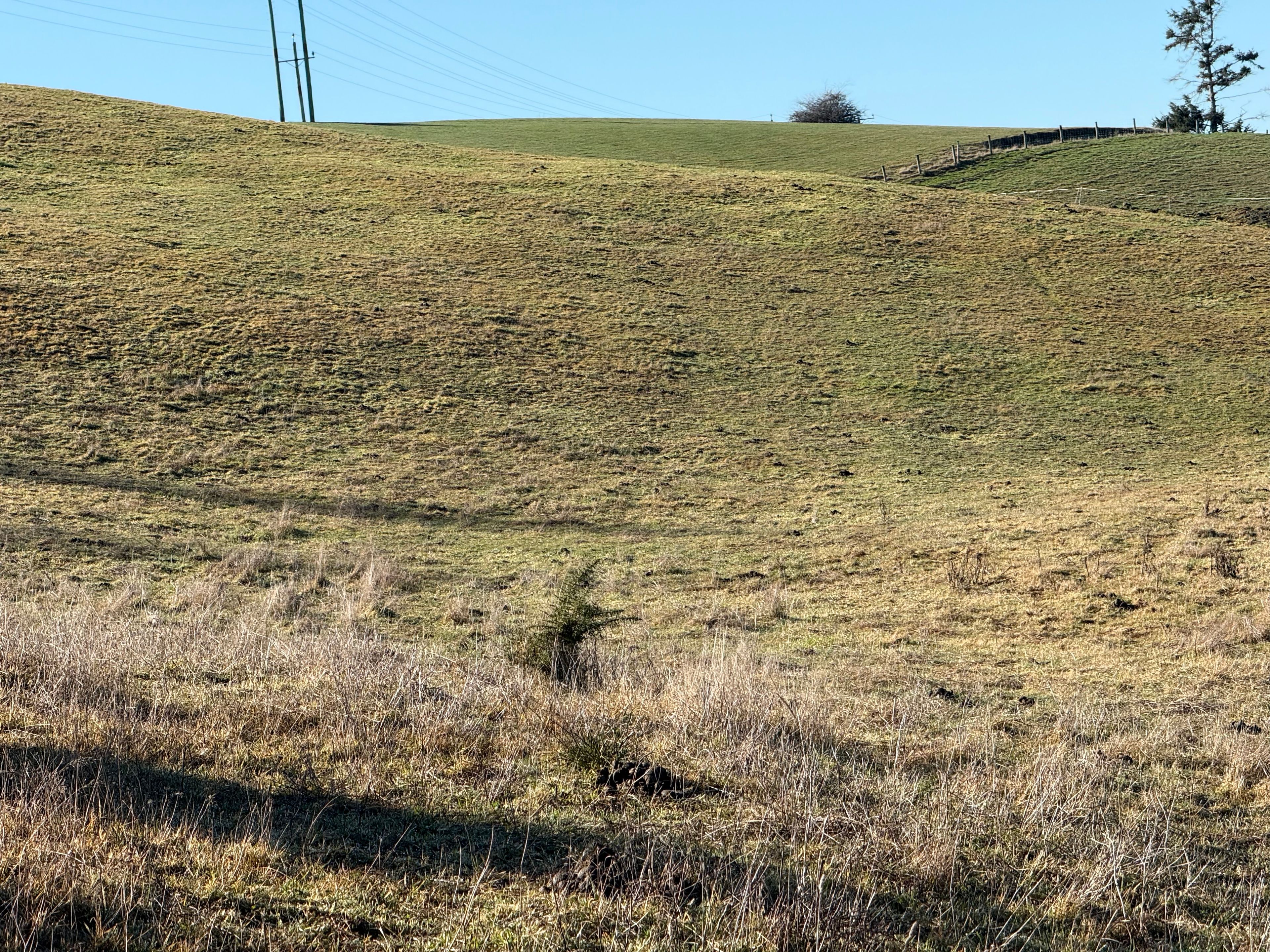 Photo 6 of 9 Cypress Lane, Balclutha, Balclutha