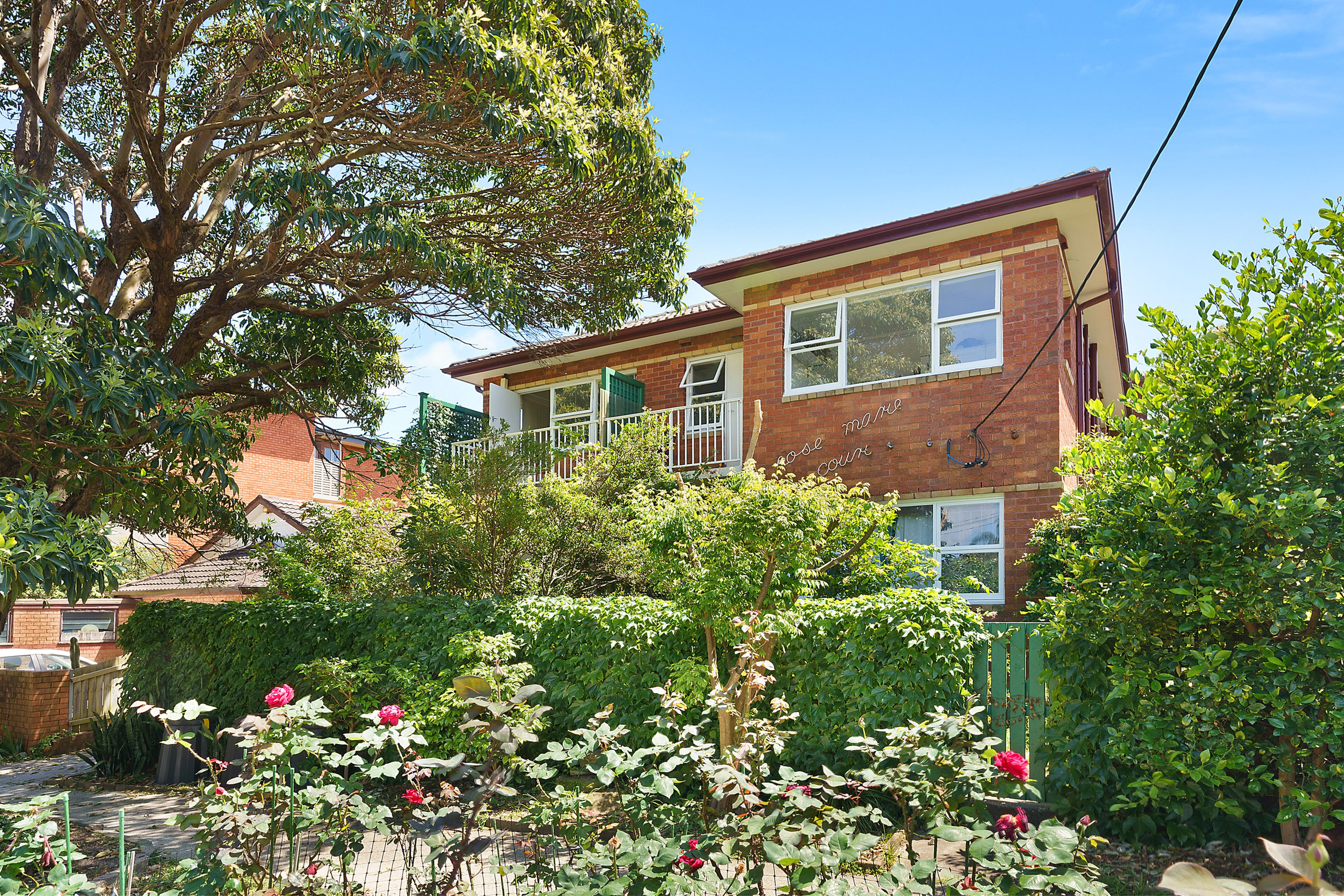 24 Chaleyer Street, Rose Bay NSW 2029