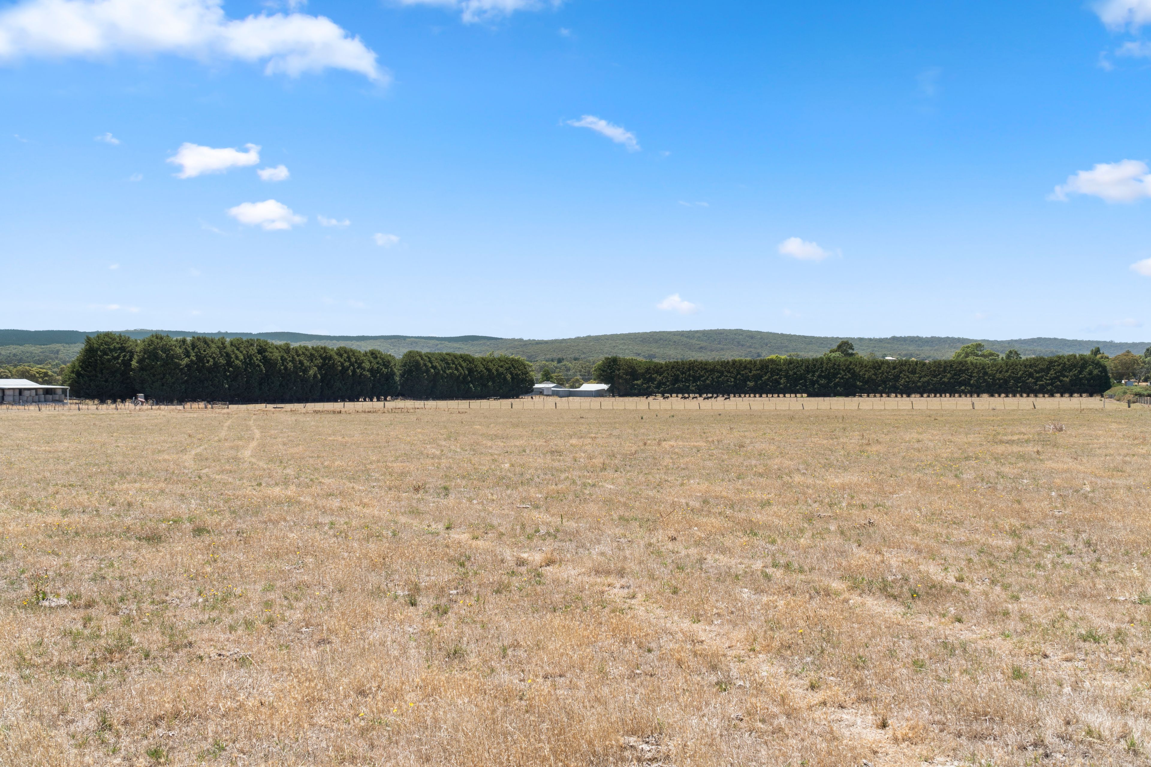 797 Midland Highway — photo 11 of 13