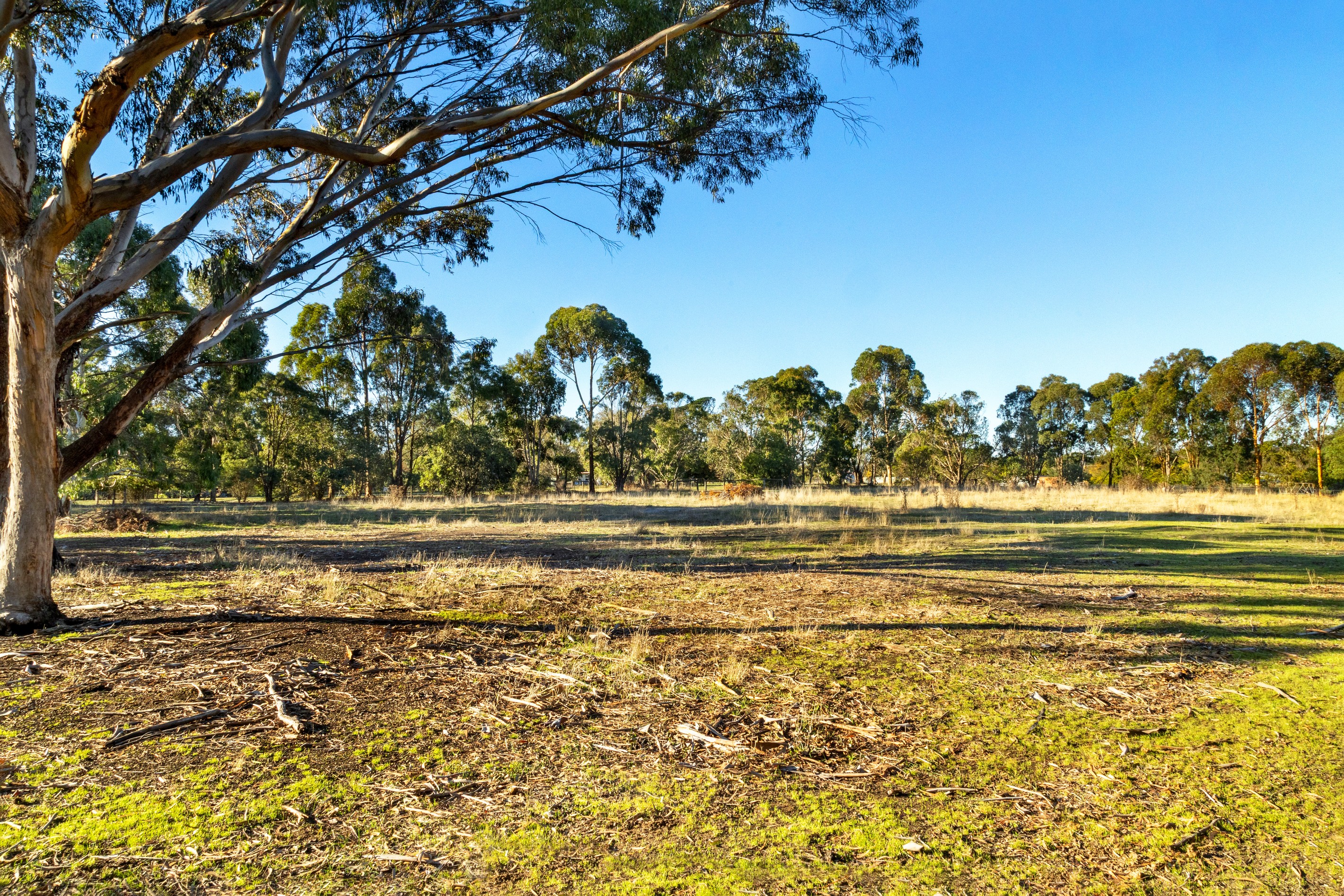31 Smythe Street, Skipton, VIC 3361