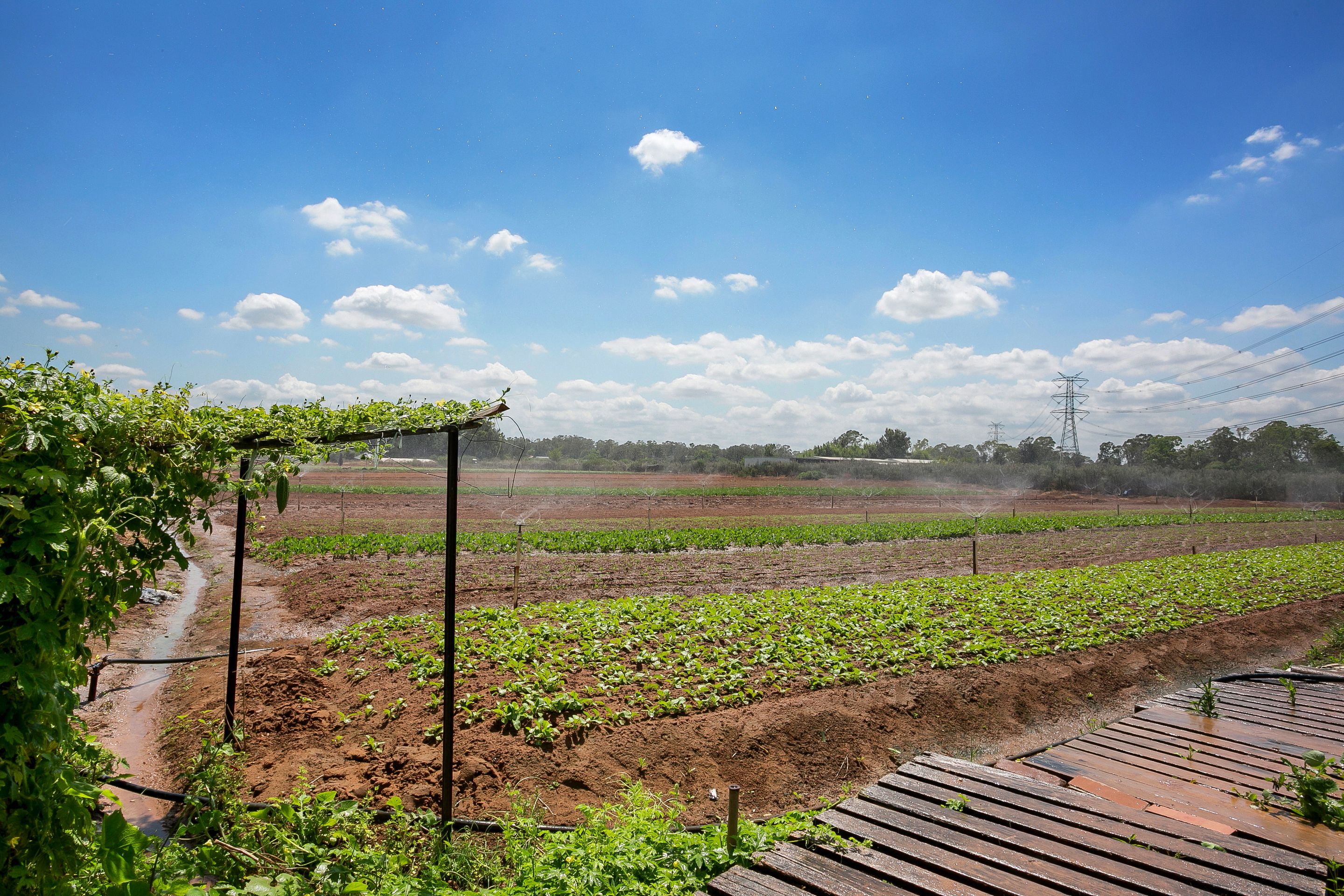 150 Sixth Avenue, Llandilo, NSW