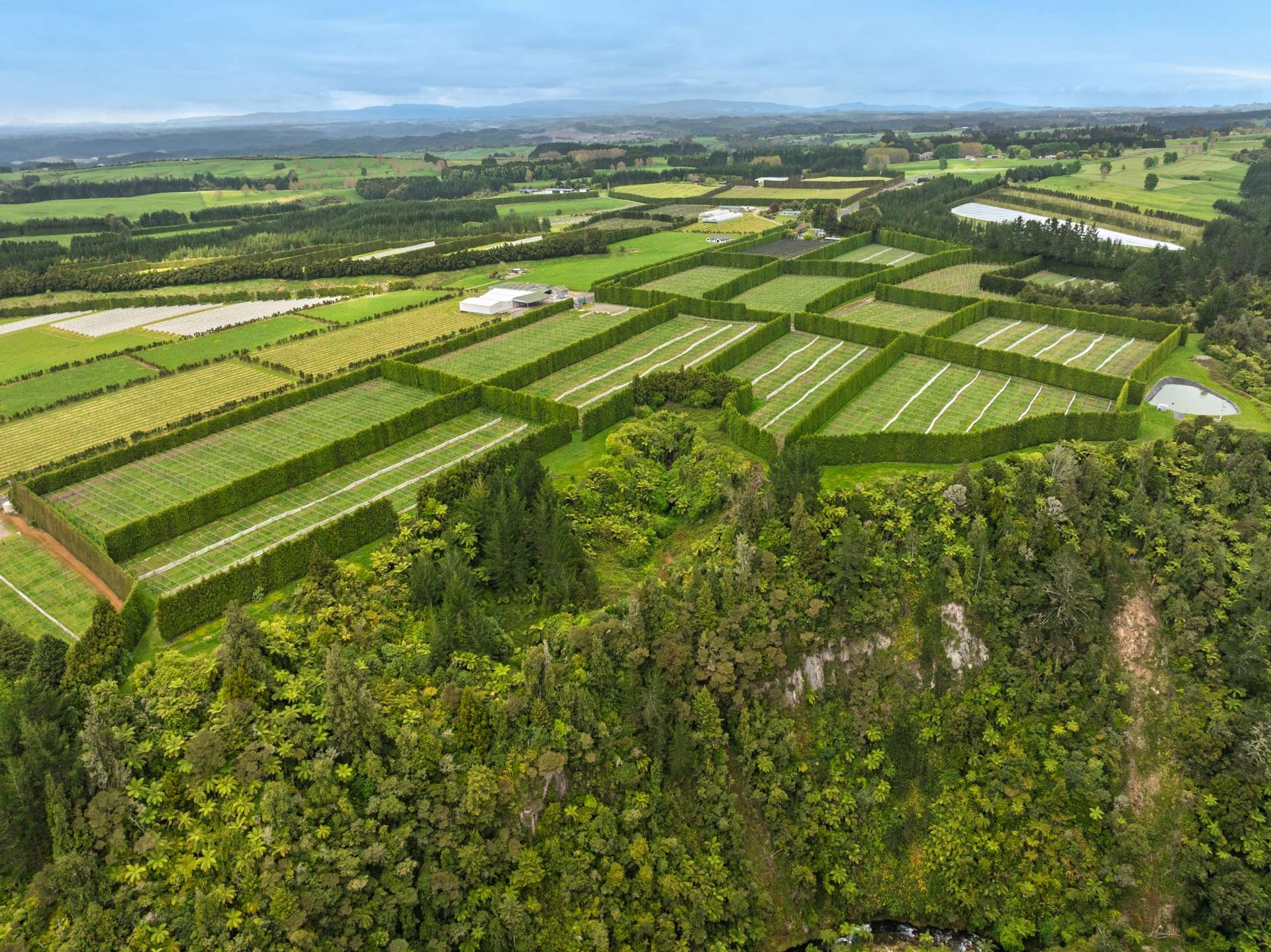 1010 Te Matai Road photo 22