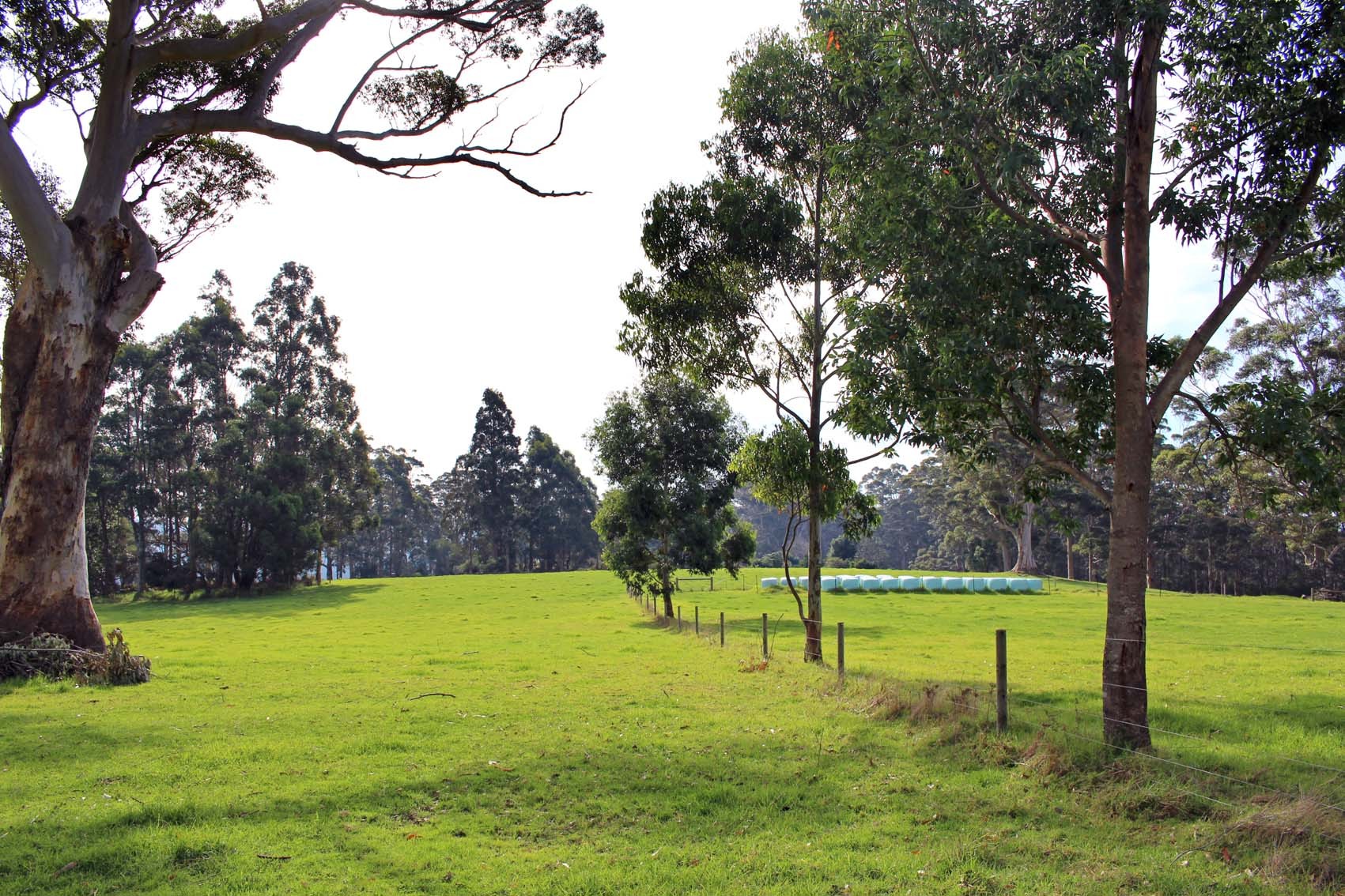 31 Pittam Way, Denmark, WA 6333