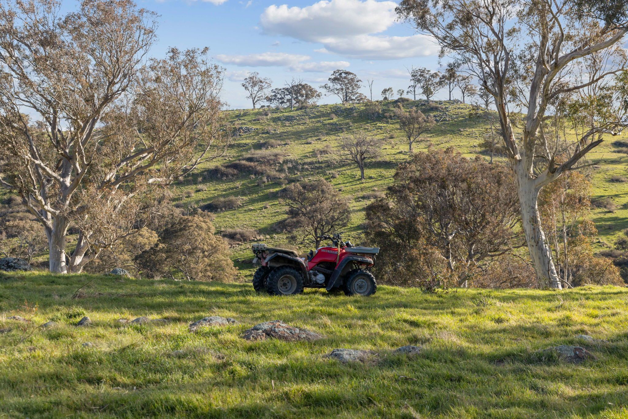 "Beddulluck Hill"/47 Boundary Lane, Wallaroo, NSW 2618 Sold Acreage