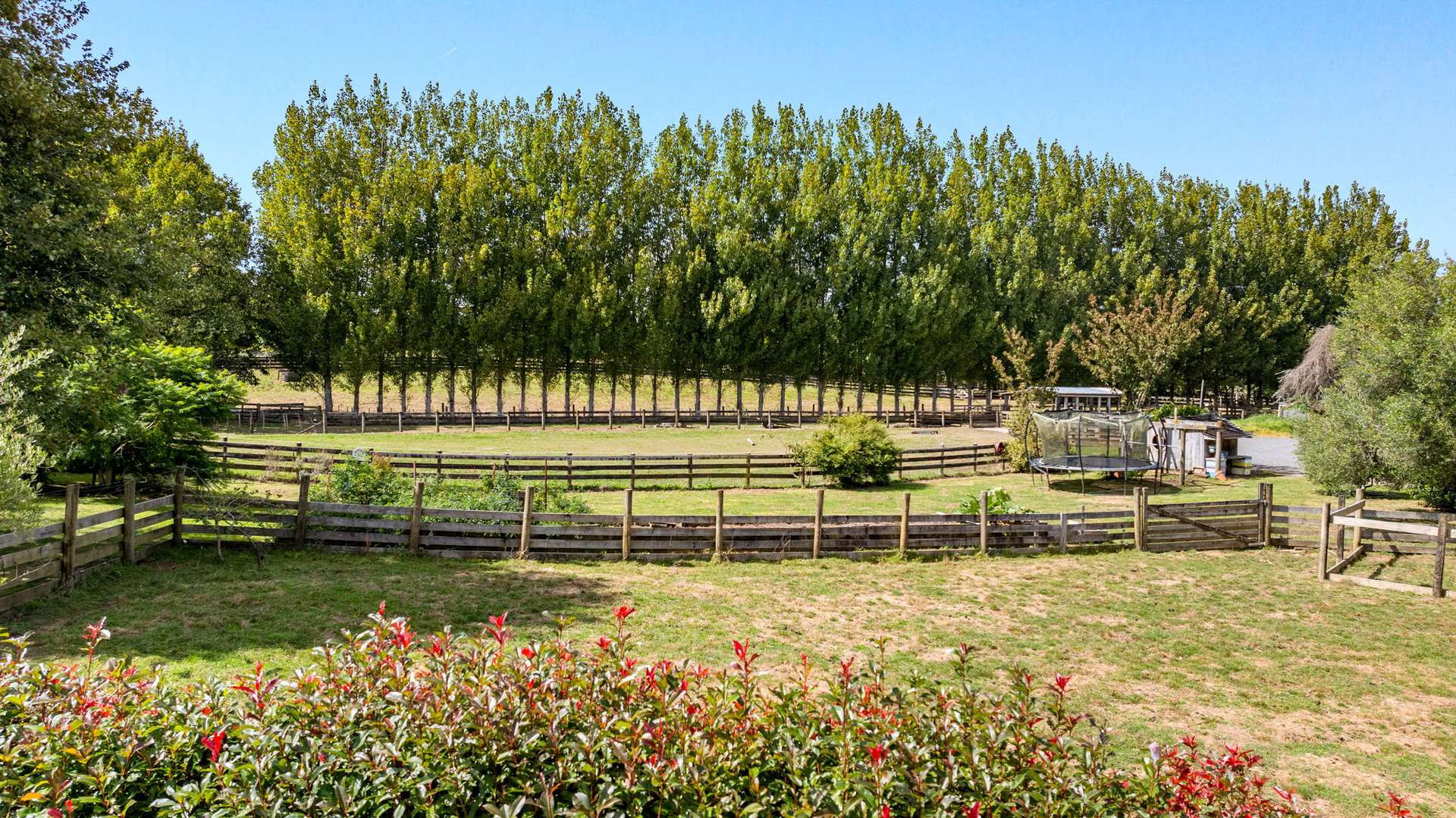 36F Farquharson Road photo 5
