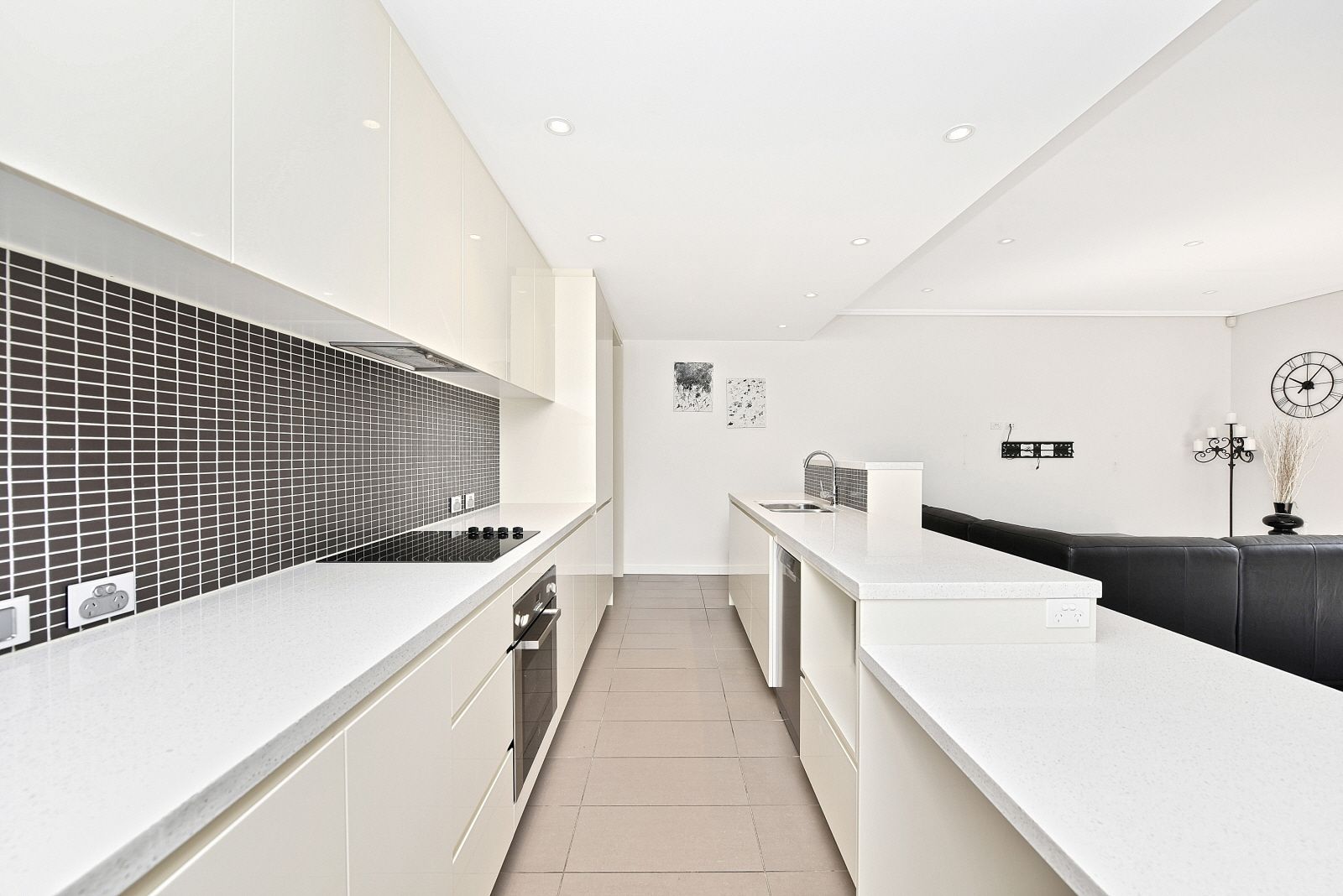 55 Grove Street, St Peters, NSW 2044
