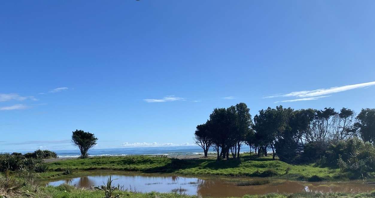 287a Kumara Junction Highway photo 5