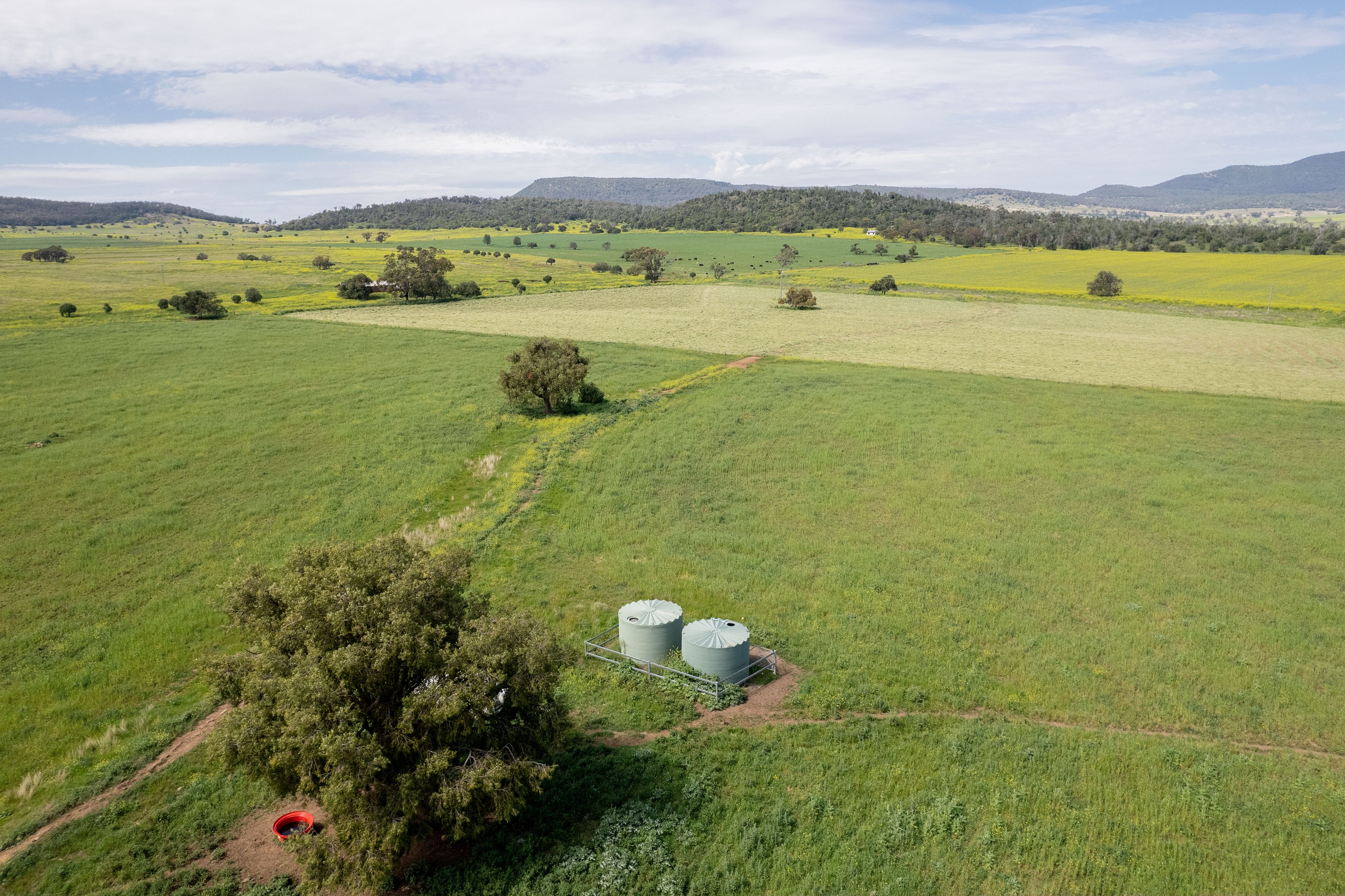 175 Barlow Road, Gunnedah, NSW 2380