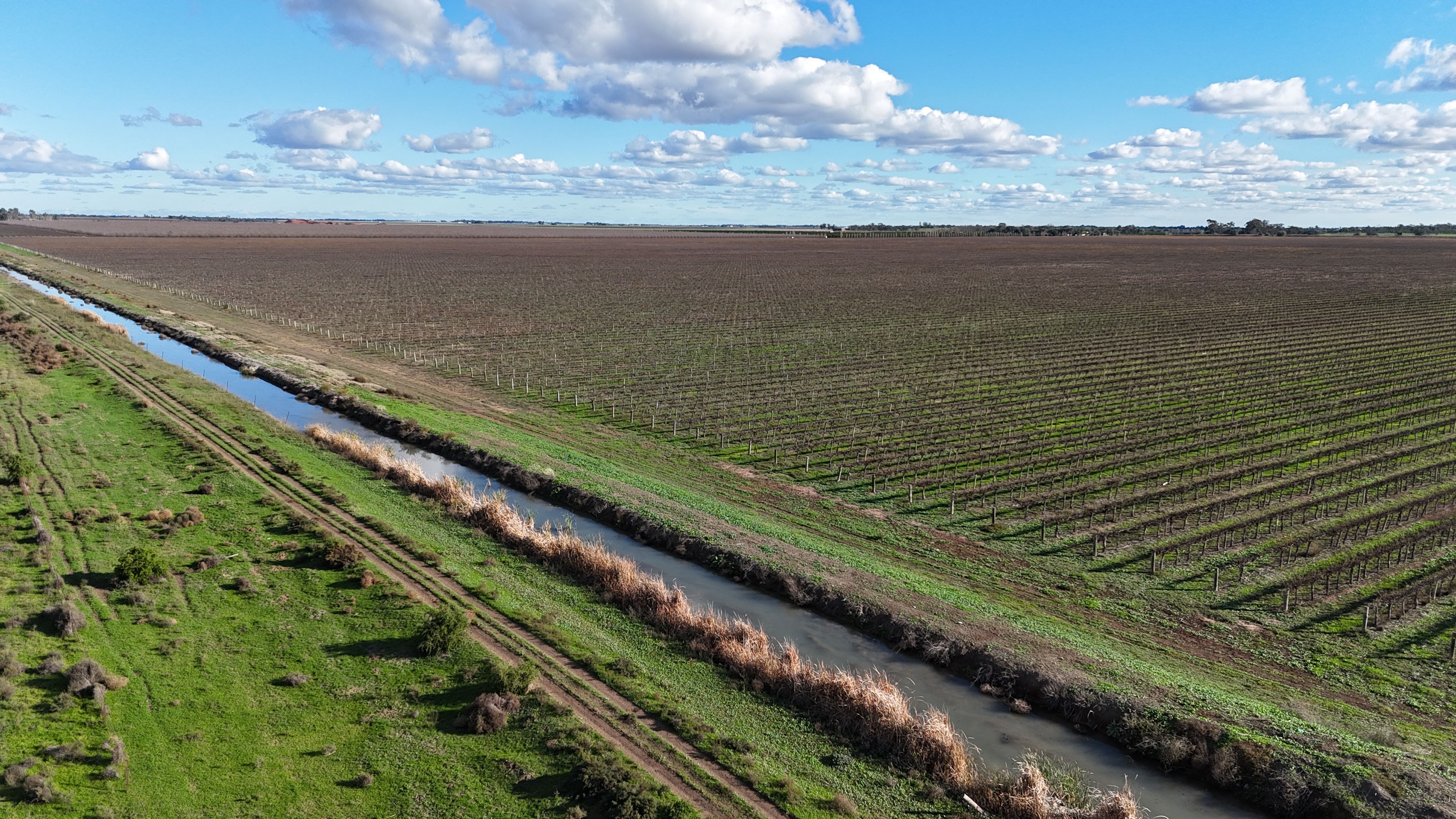 White Road Vineyard Aggregation — photo 8 of 11
