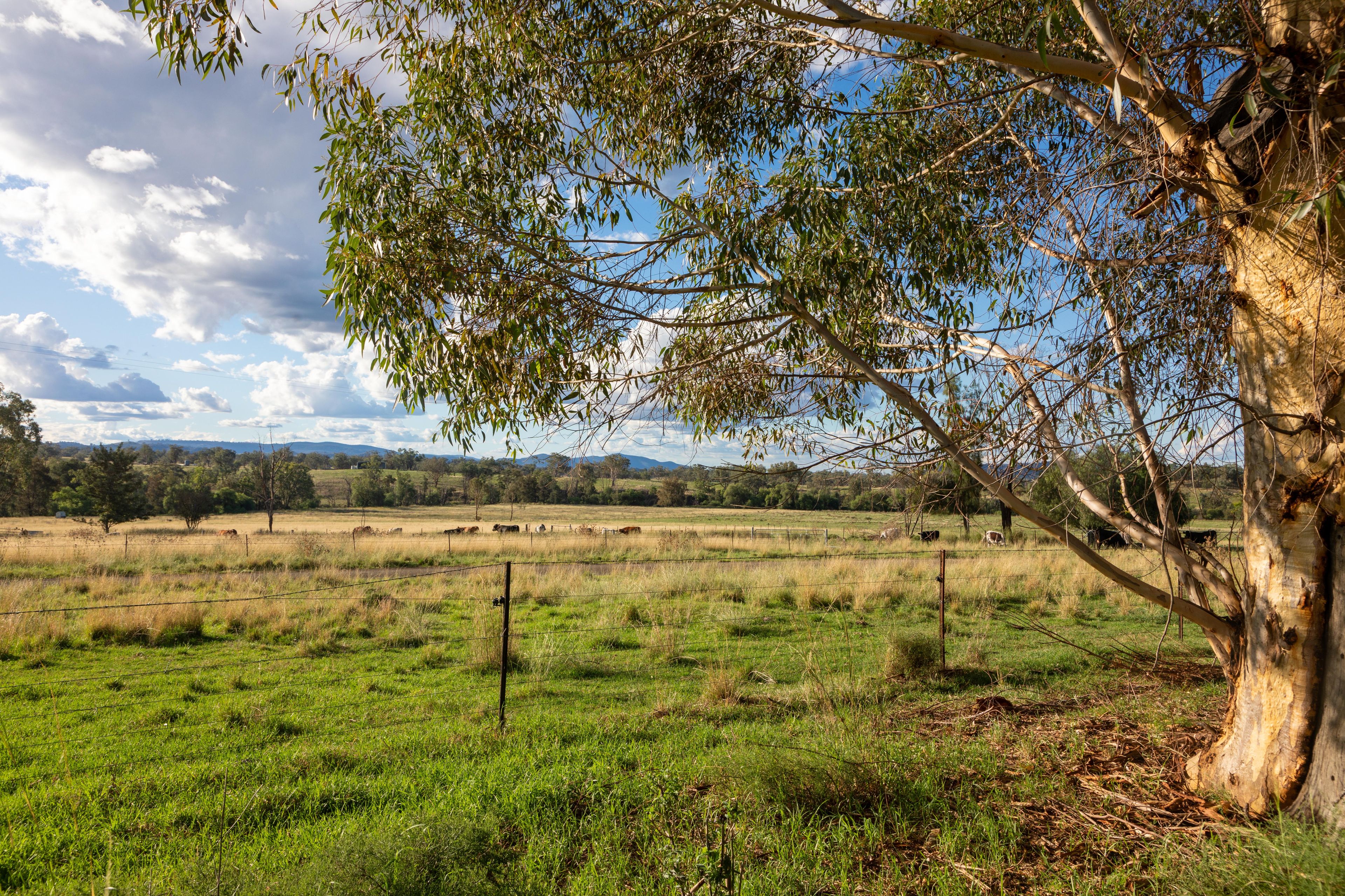 'Riverstone' Riverstone Road, Upper Horton, NSW 2347 Sold Rural Property Ray White Tamworth