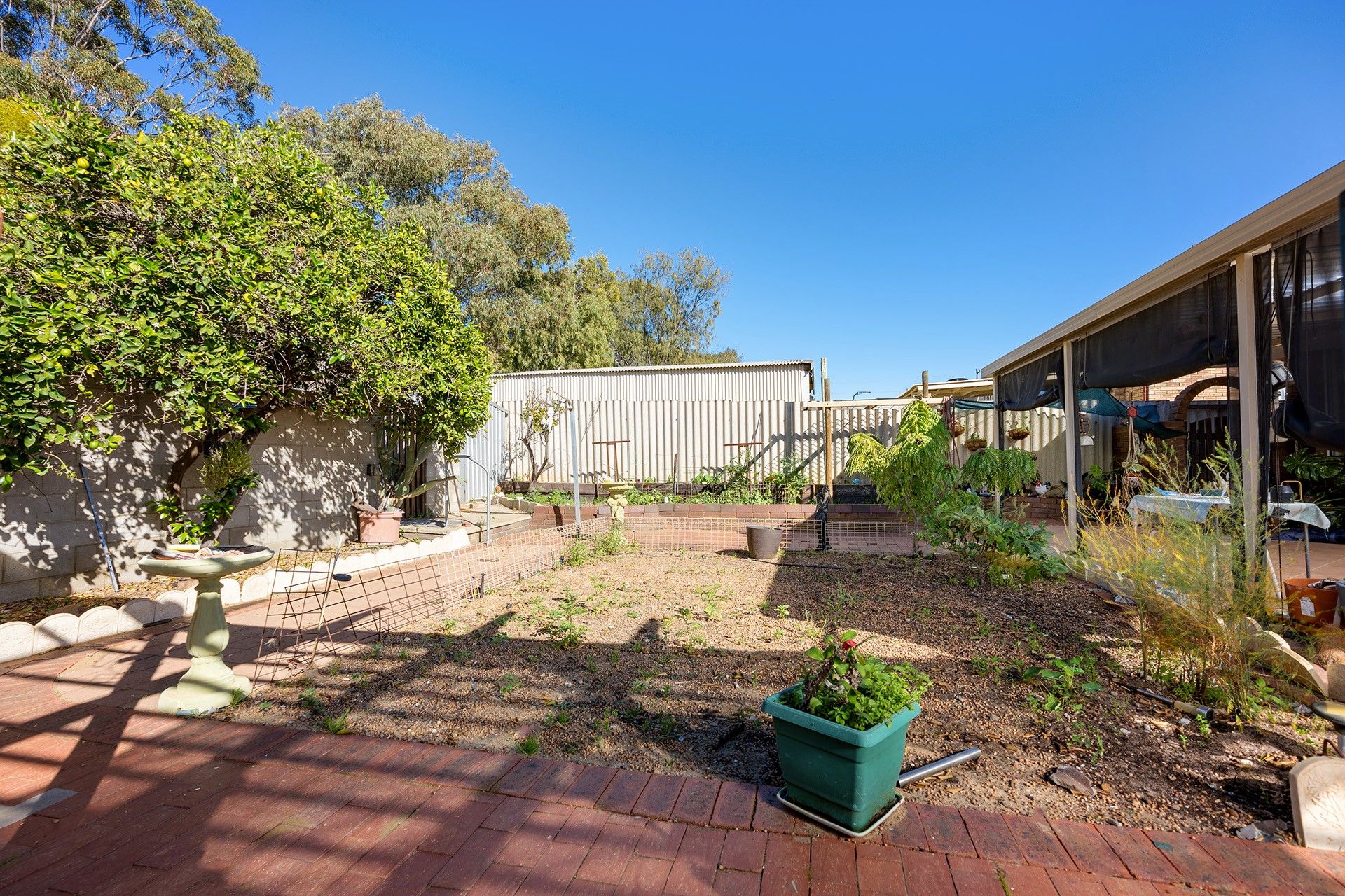 10 Tuart Street — photo 16 of 22
