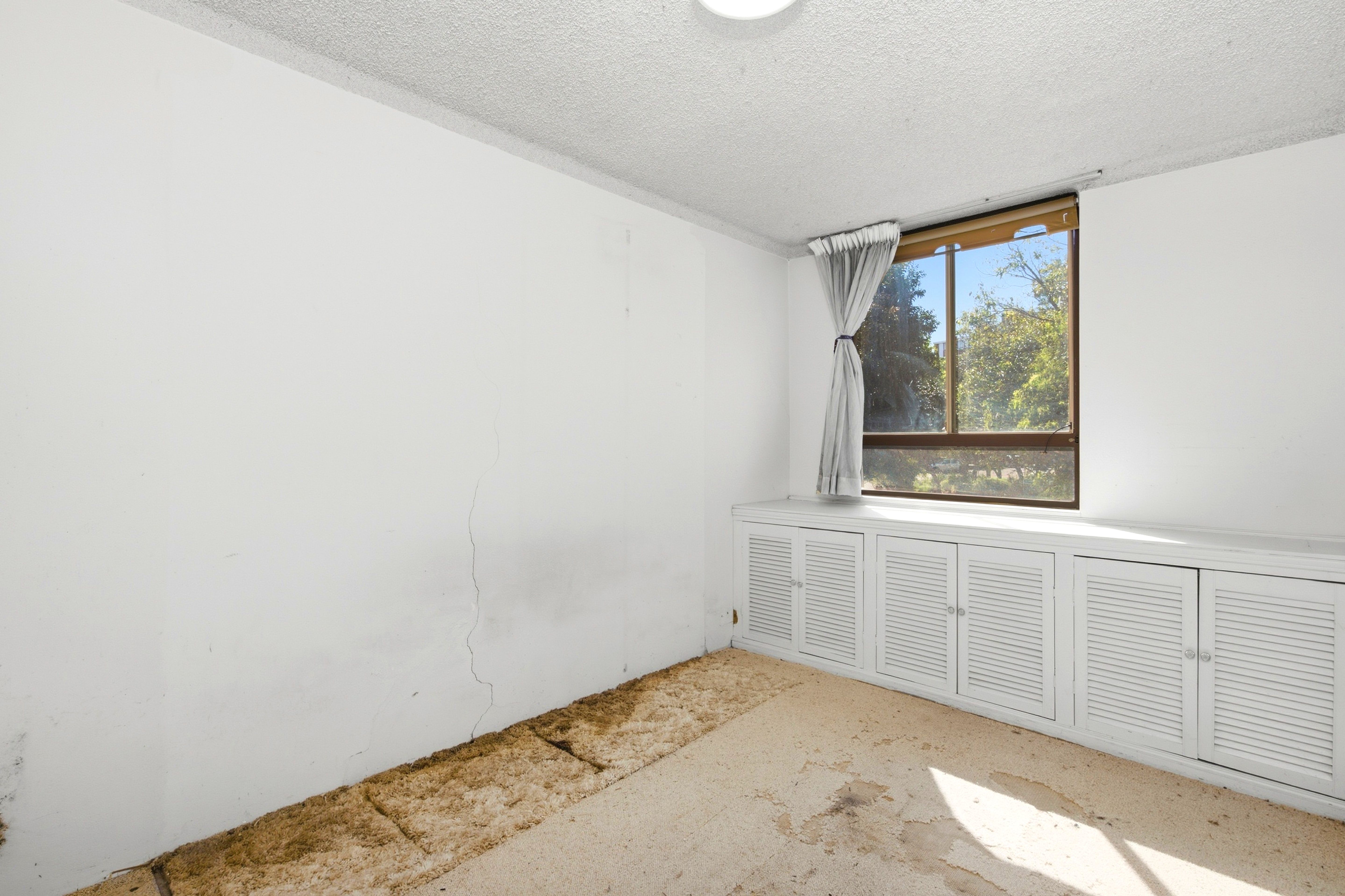 1D/12 Bligh Place — photo 5 of 5