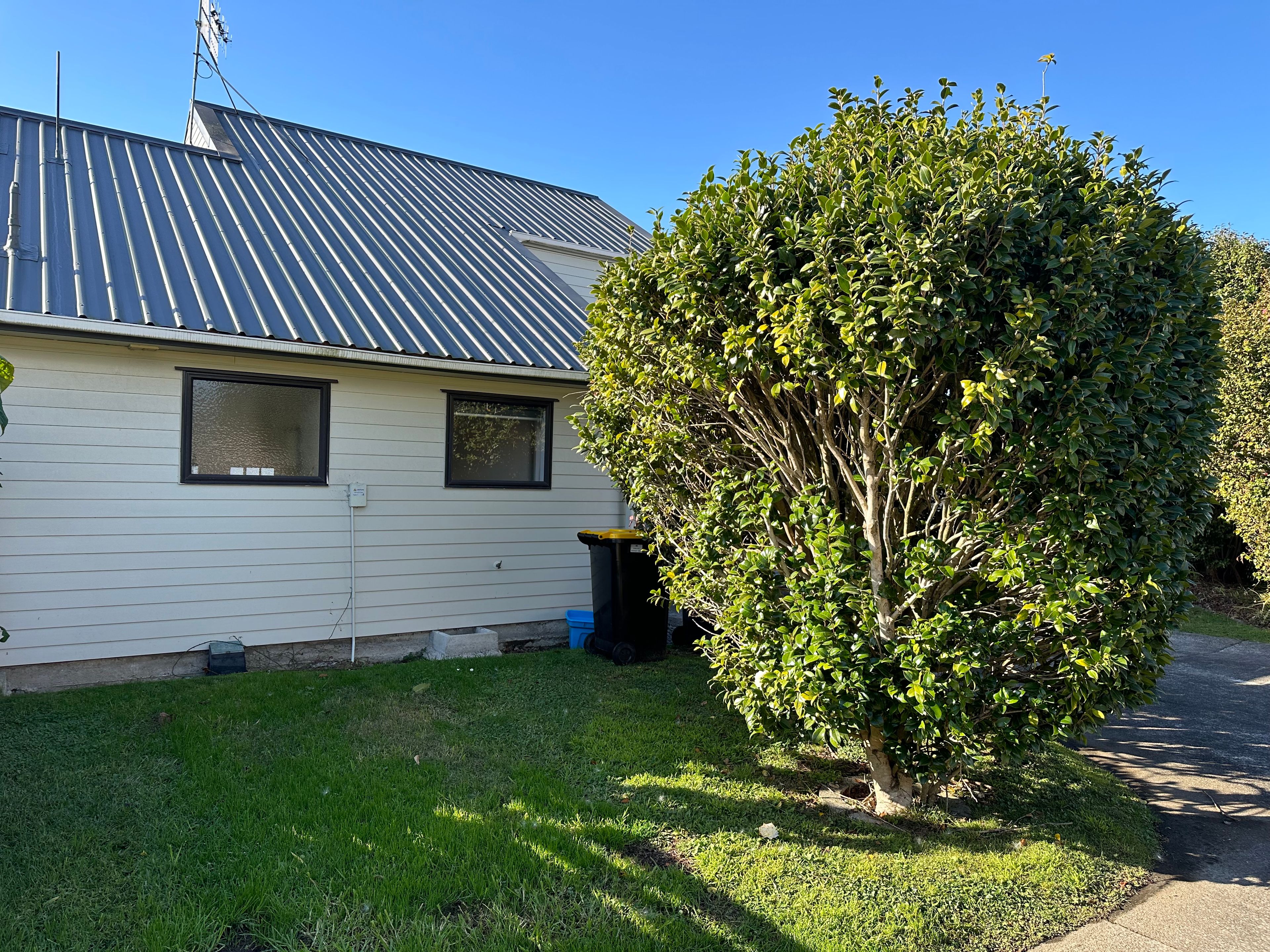 Judea, Tauranga City