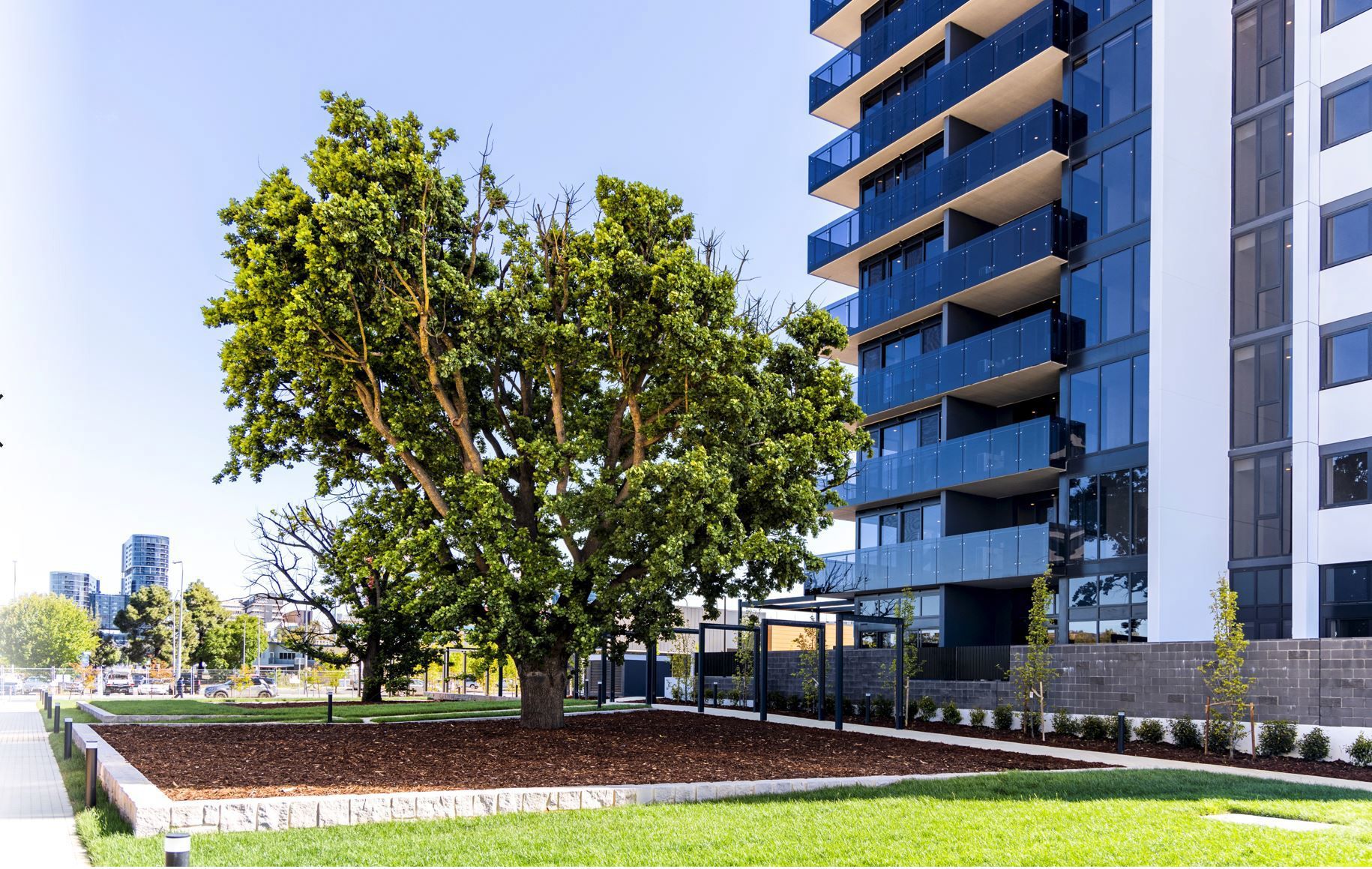 14/9 Irving Street, Phillip, ACT 2606