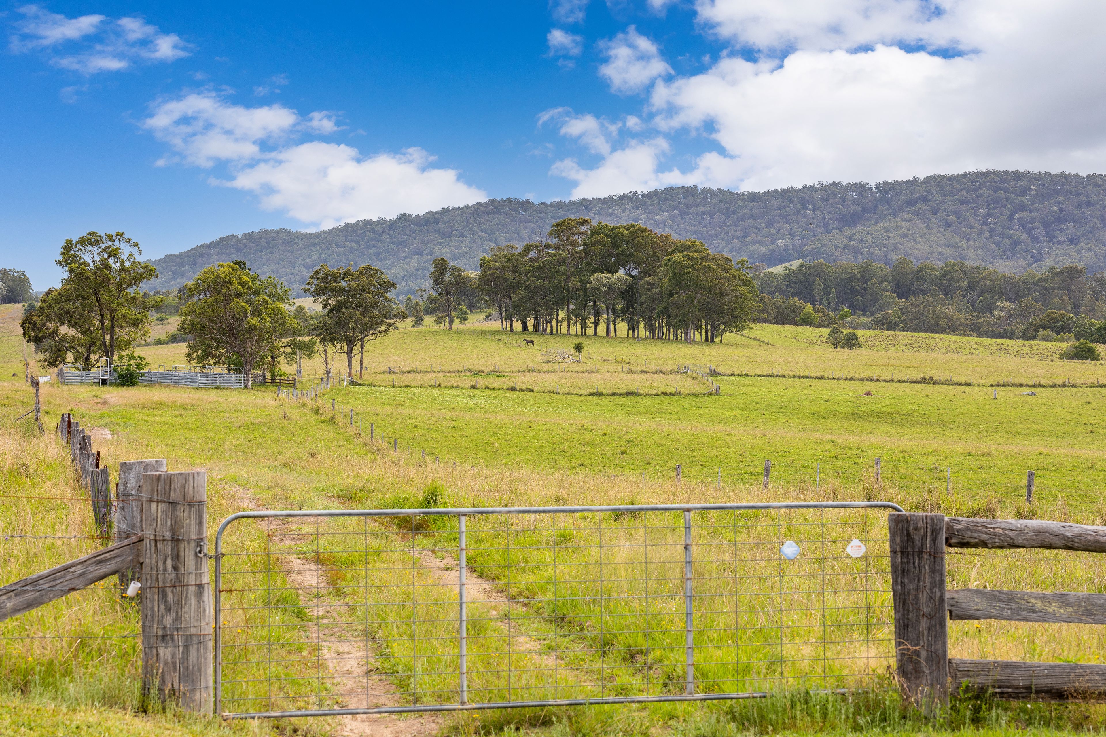 87 Norries Road, Bunyah, NSW 2429
