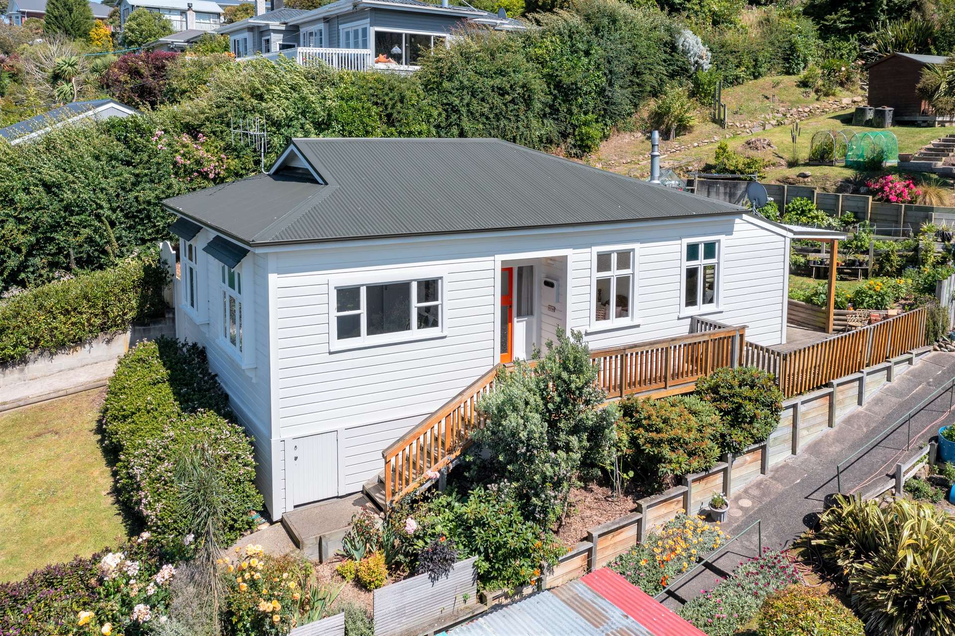 51 Totara Street photo 0