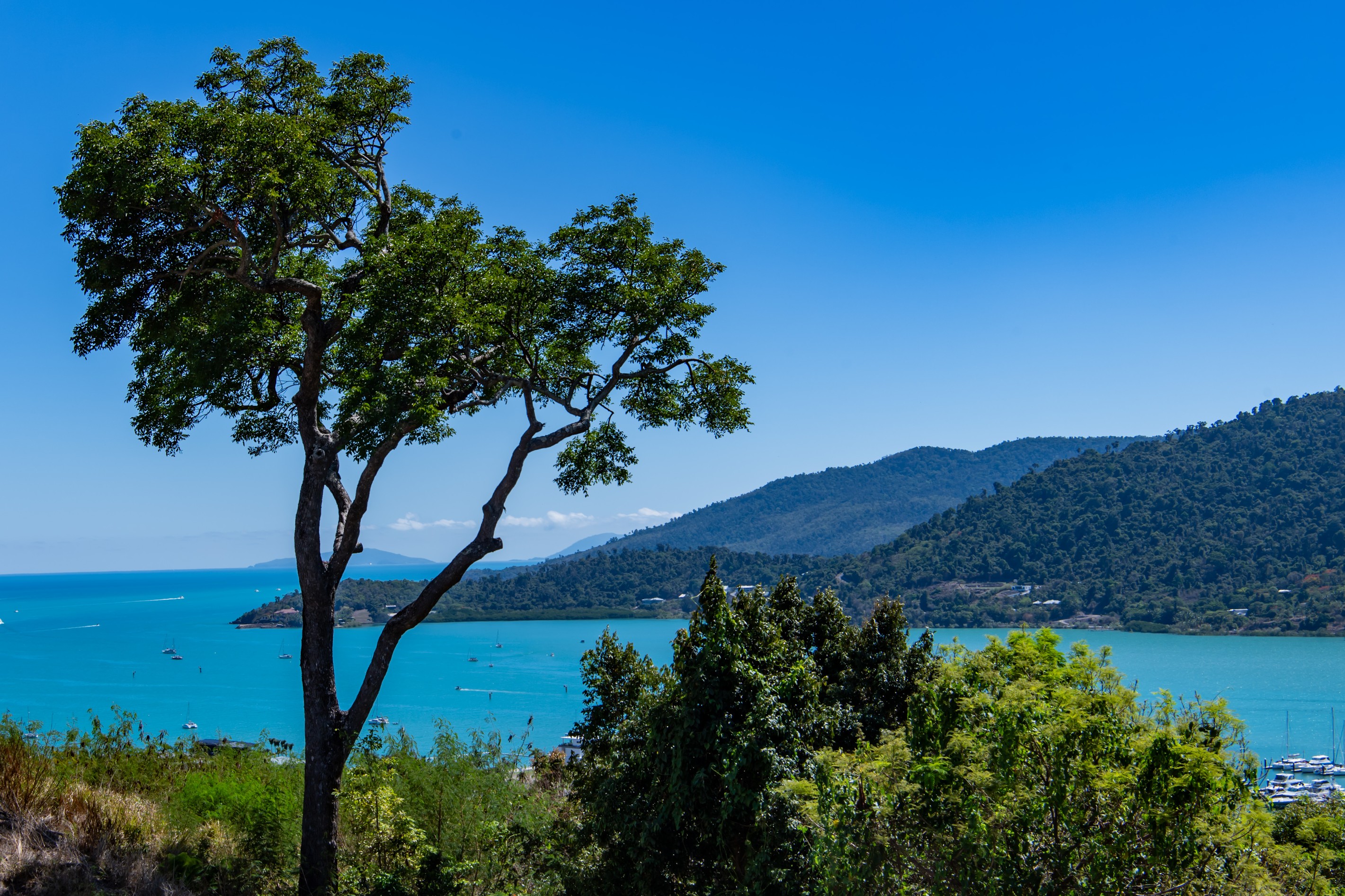 25 Airlie View, Airlie Beach, QLD 4802