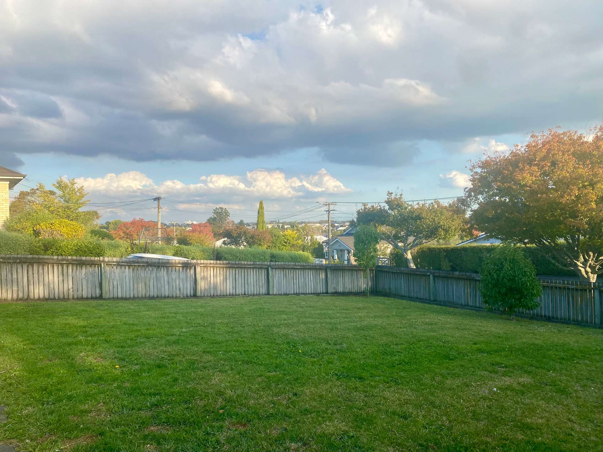 34 Matai Street photo 9