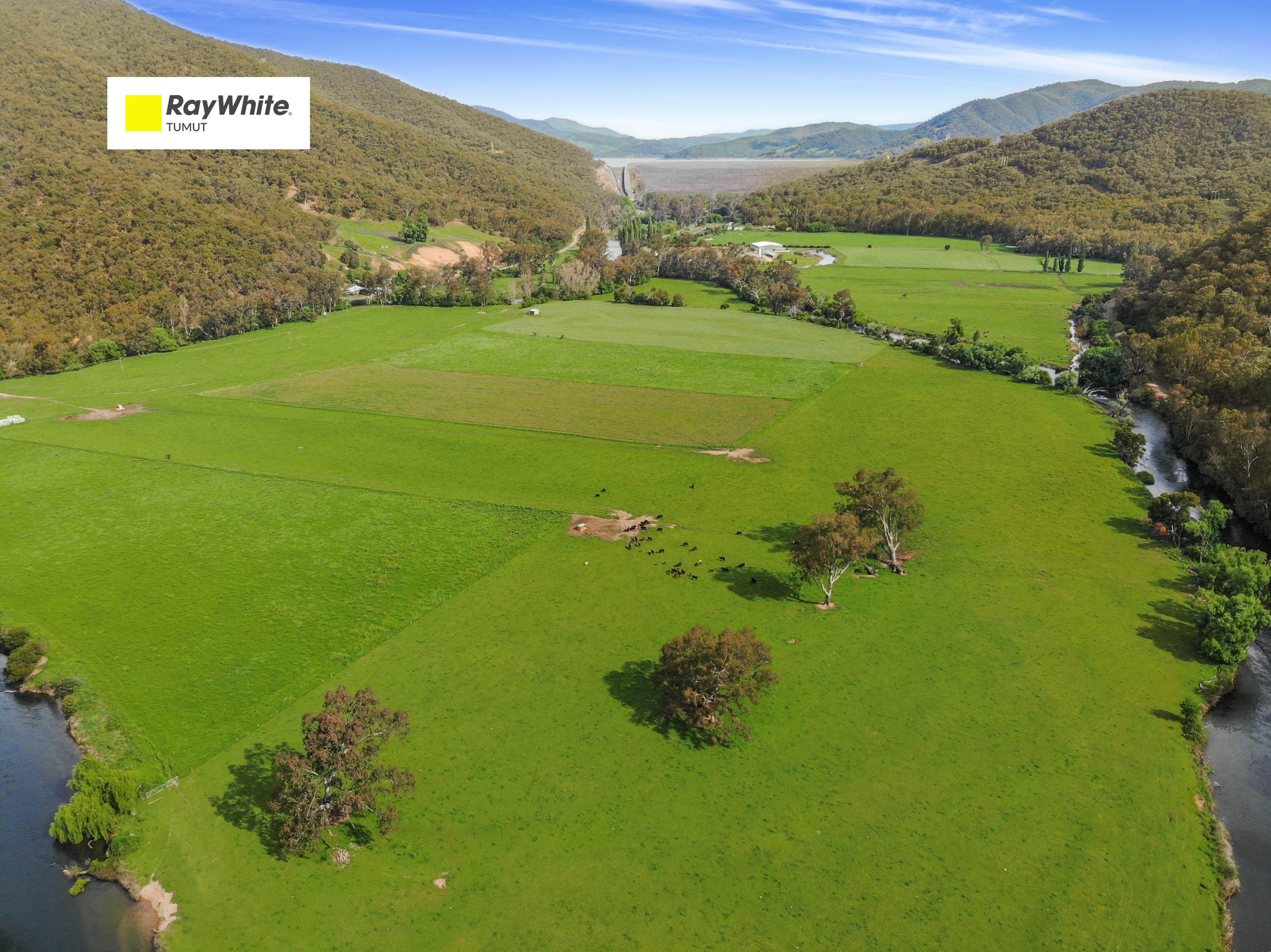 338 East Blowering Road — photo from Ray White Tumut