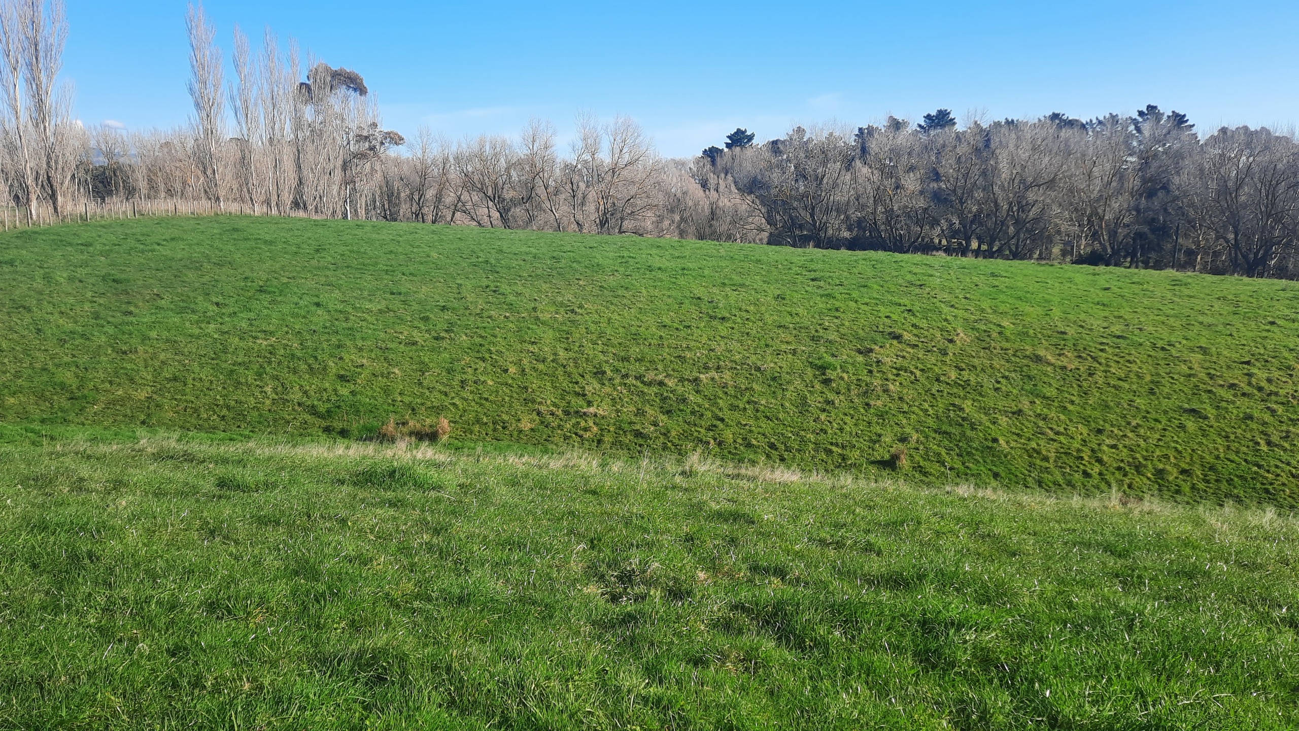 3 Williams Road, Tokomaru, Horowhenua District