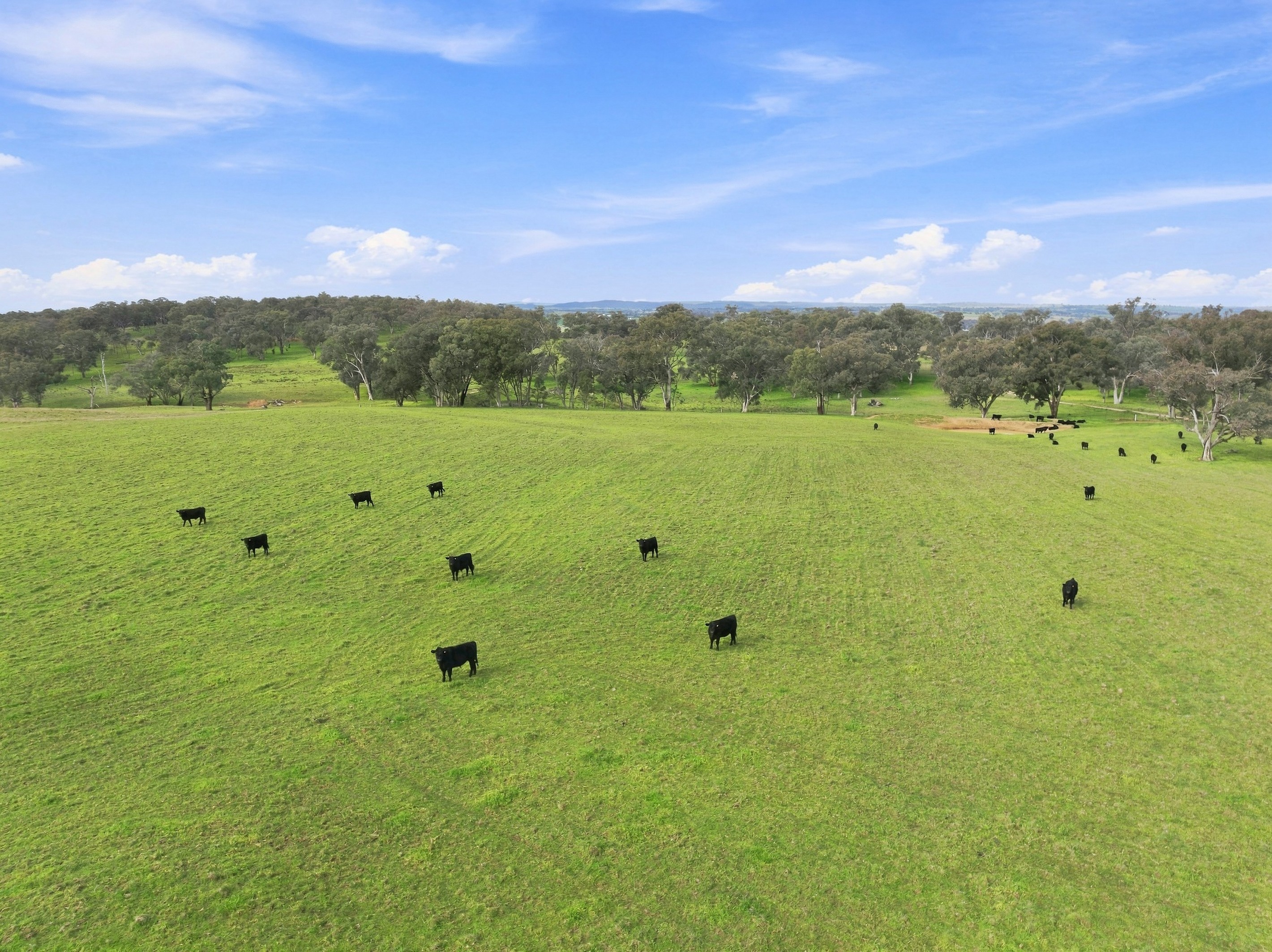 136 Nyora Lane, Molong, NSW 2866