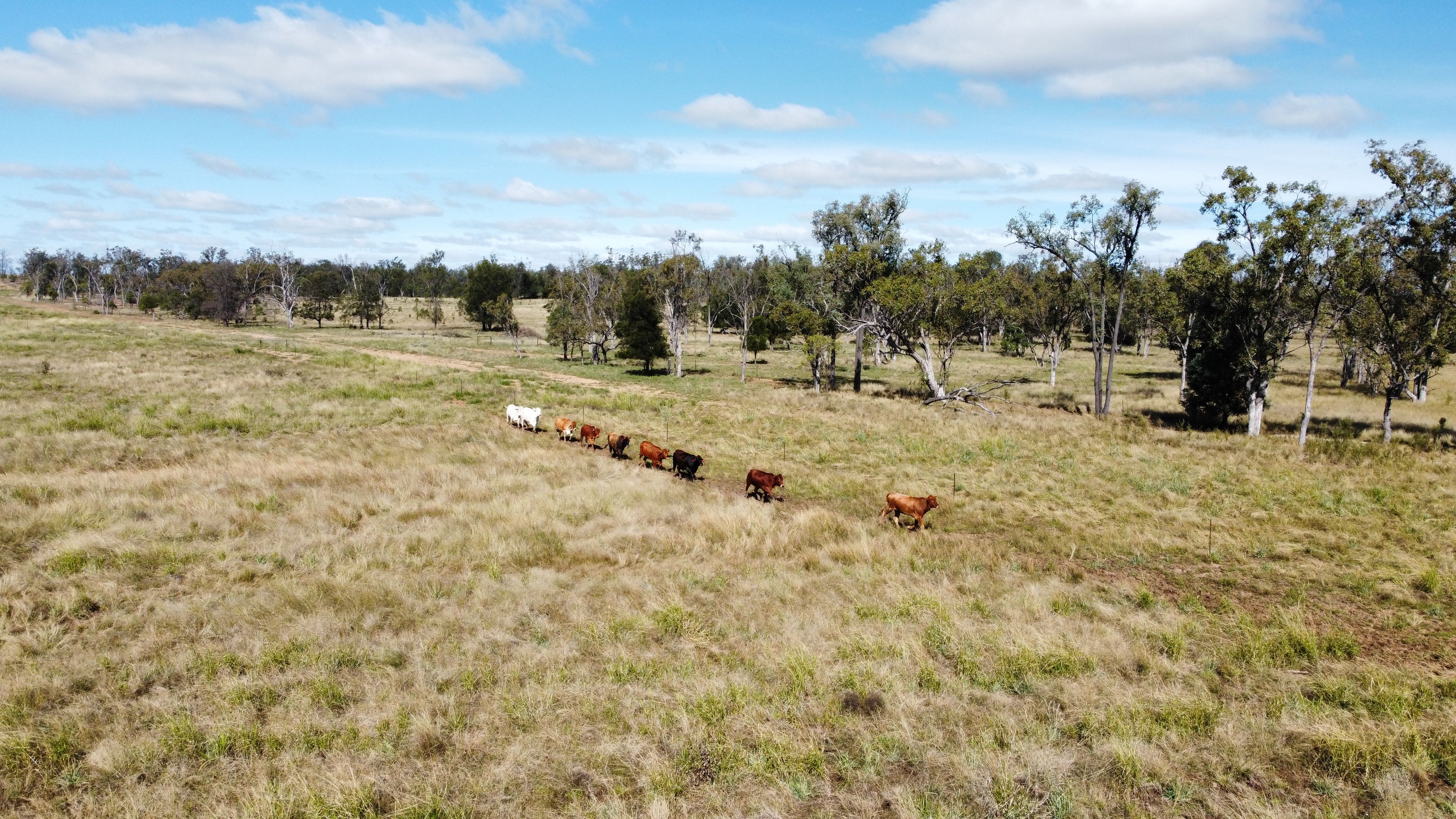 5614 Surat Development Road, QLD 4423 Sold Rural Property