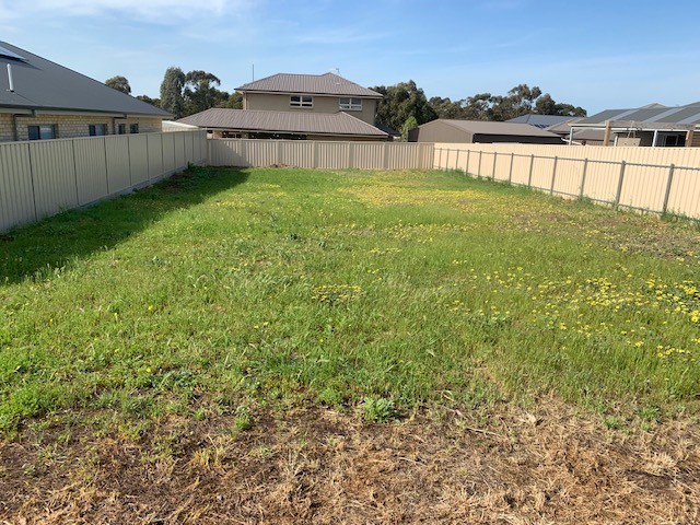 17 Matthews Street, Strathalbyn, SA 5255