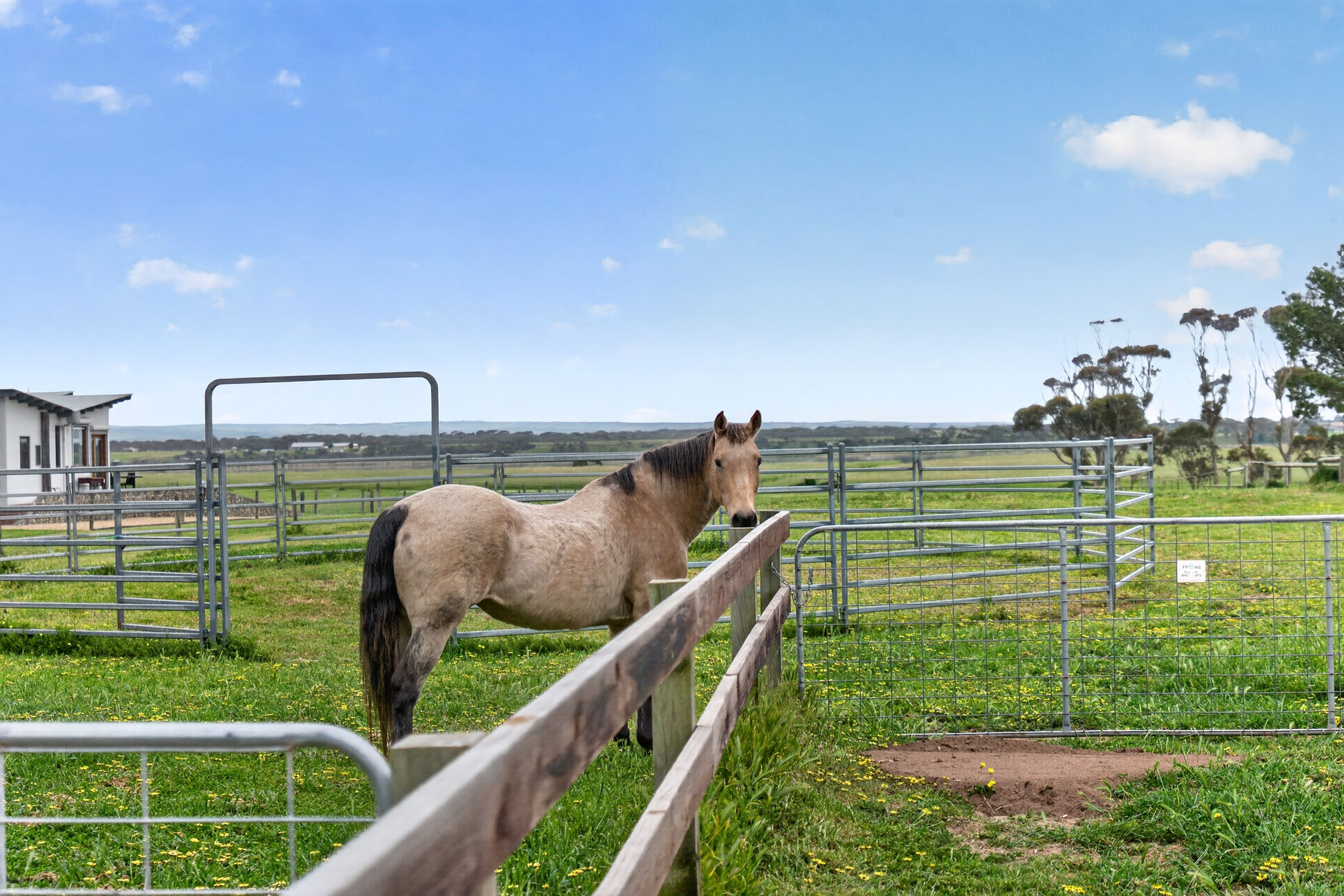 34 McKinlay Court — photo 28 of 30