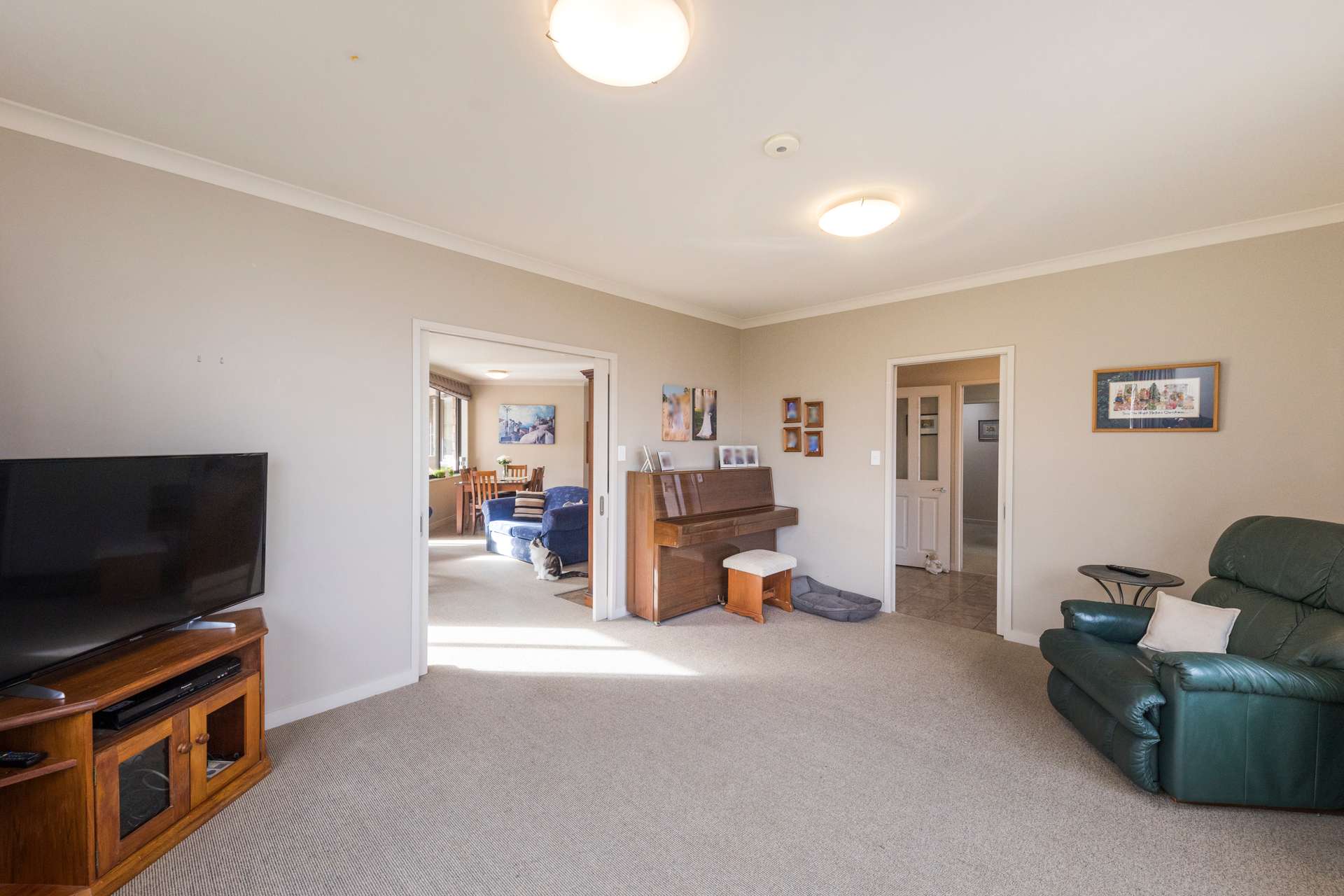 41 Masefield Terrace photo 8