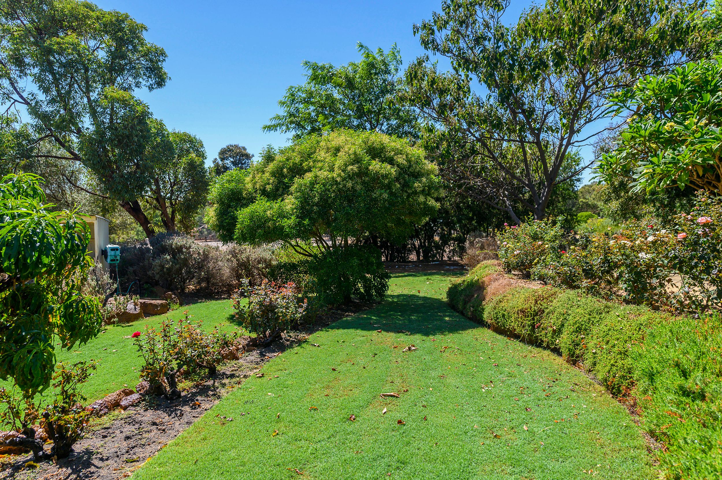 254 Murray Grey Circle, Lower Chittering, WA 6084 House for Sale Ray White Bullsbrook