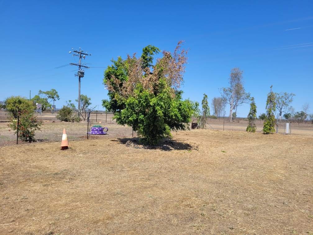 27 Baroota Street, Einasleigh, QLD 4871