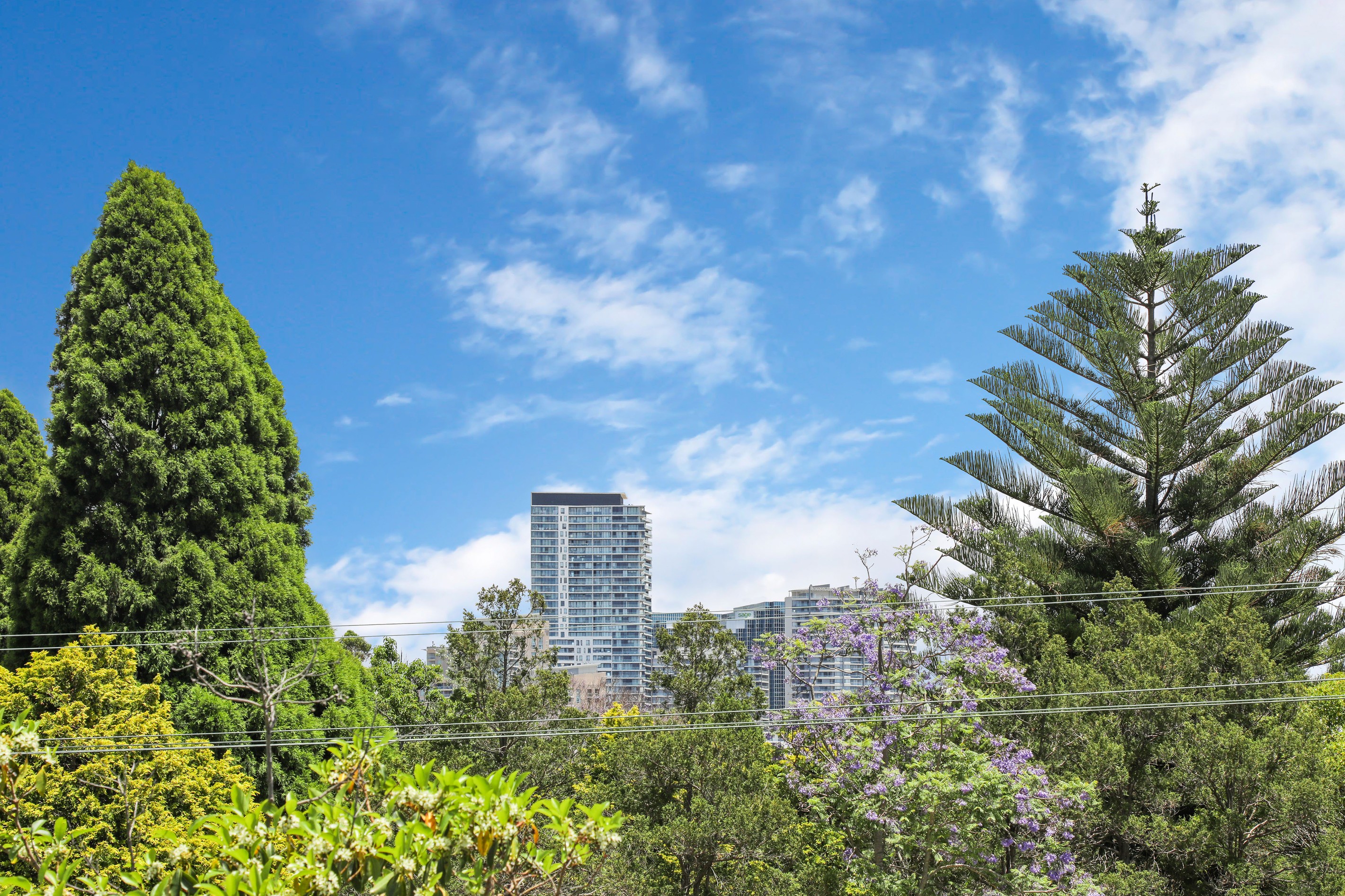 9/71-73 Stanley Street, Chatswood, NSW 2067