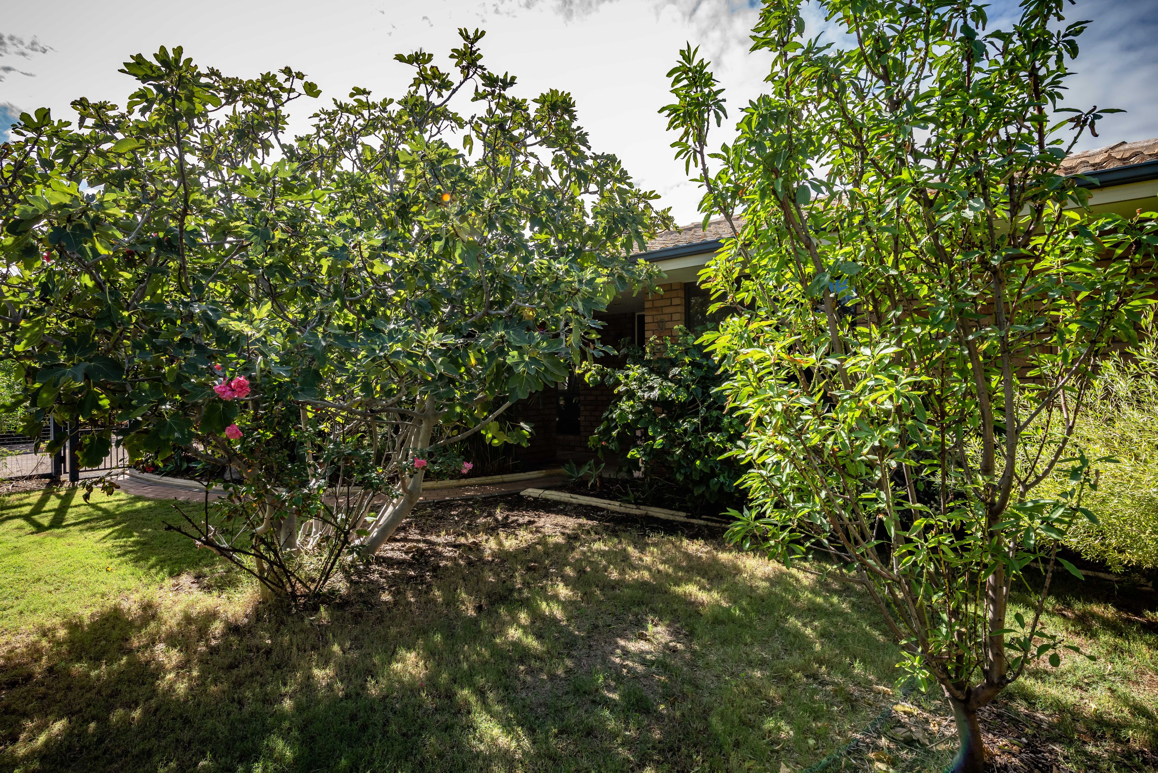 9 Seacrest Street, Tarcoola Beach, WA 6530
