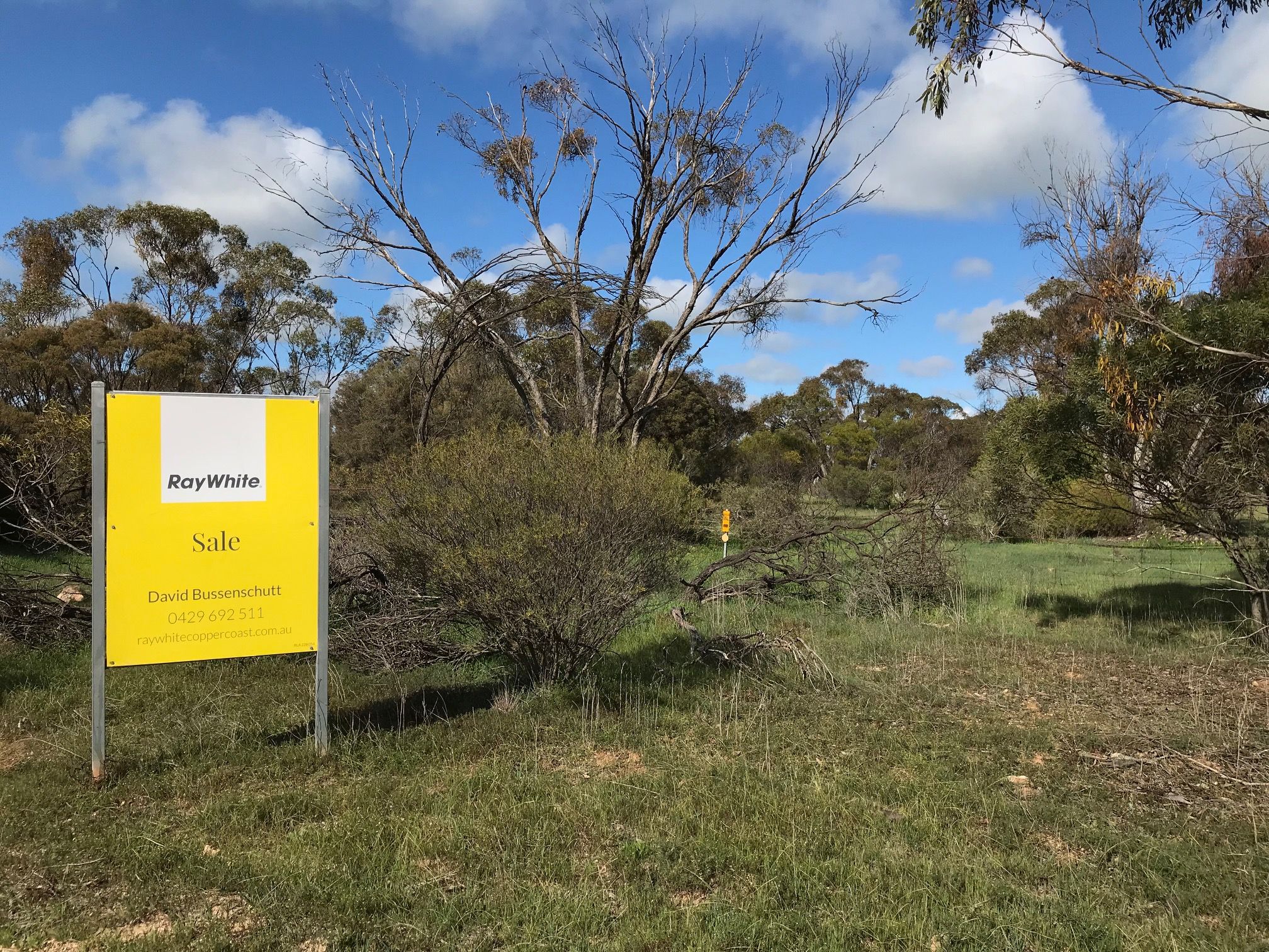 Lot 54 Bussenschutt Road, Cunliffe, SA 5554