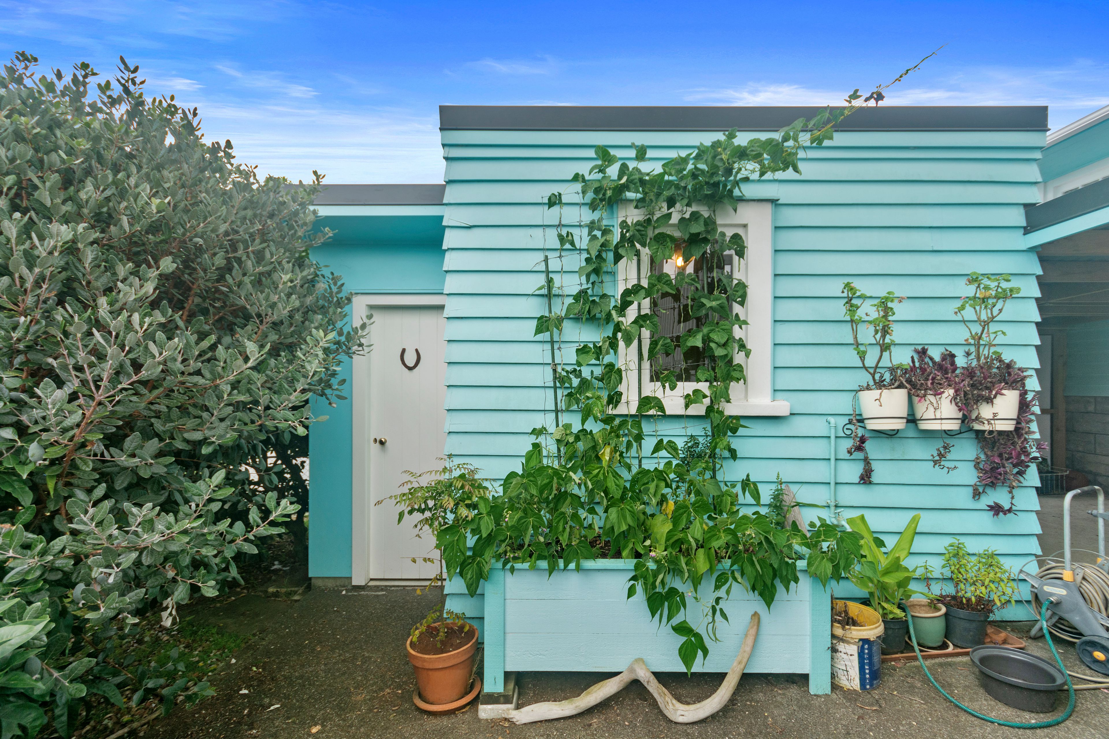 146 Mount Albert Road, Mount Albert, Auckland City