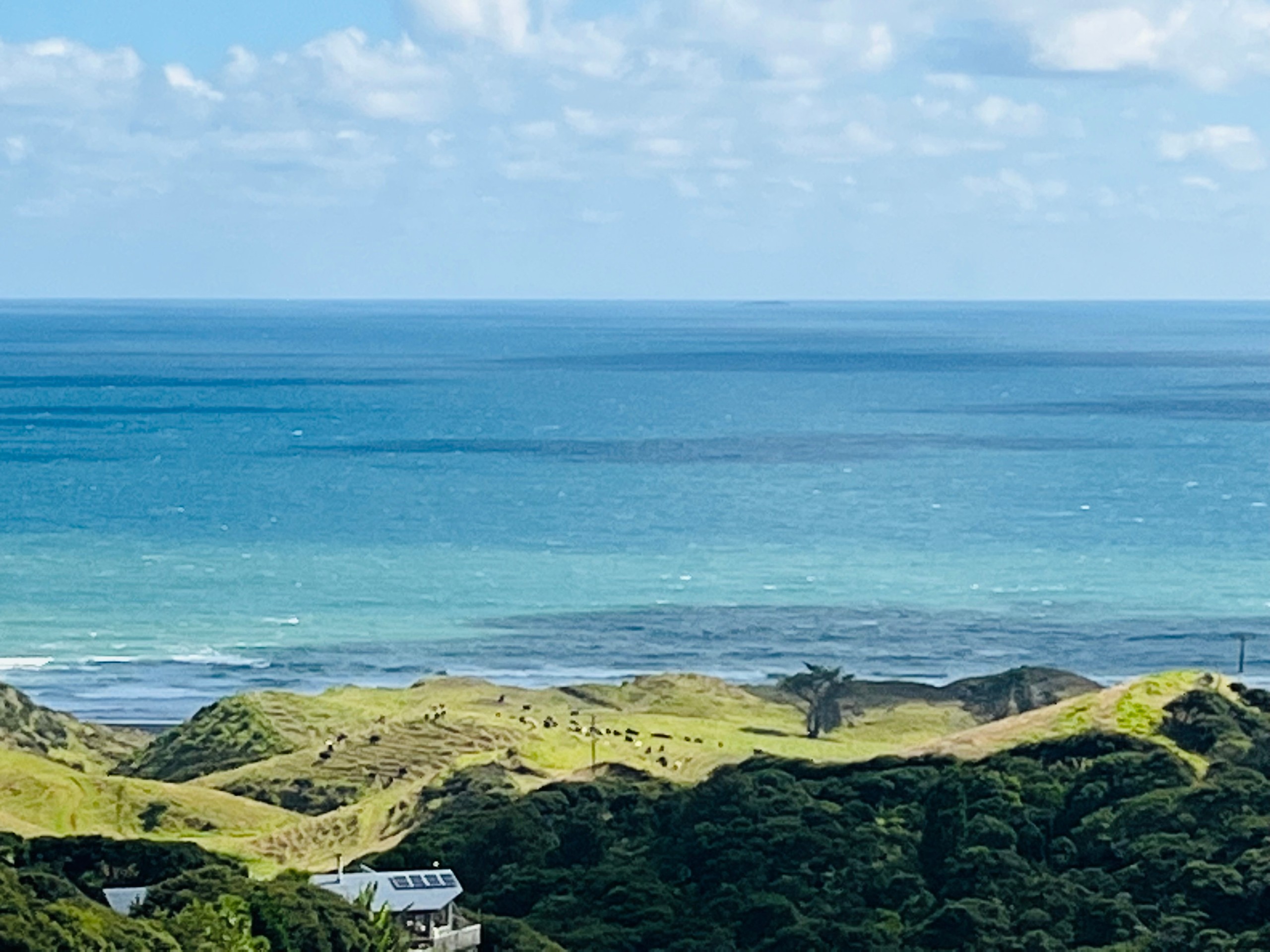 1597 Whaanga Road, Raglan, Waikato District