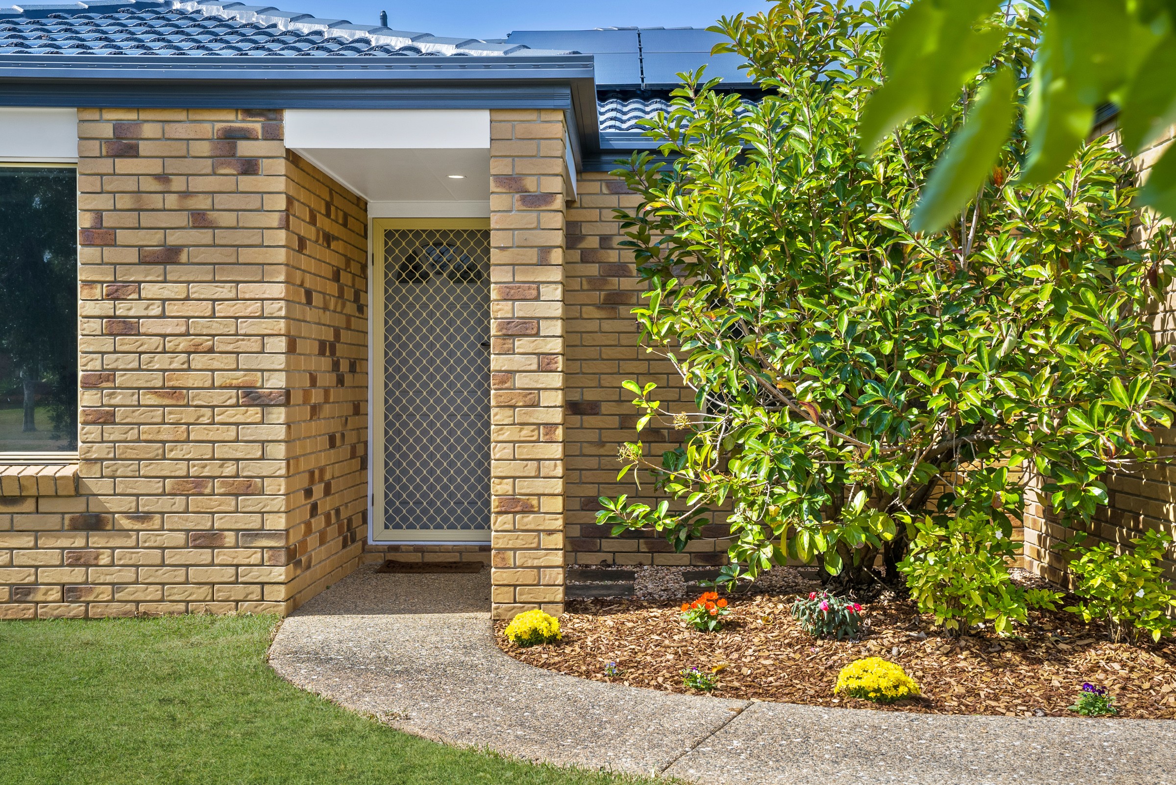 77 Pine River Drive, Murrumba Downs, QLD 4503