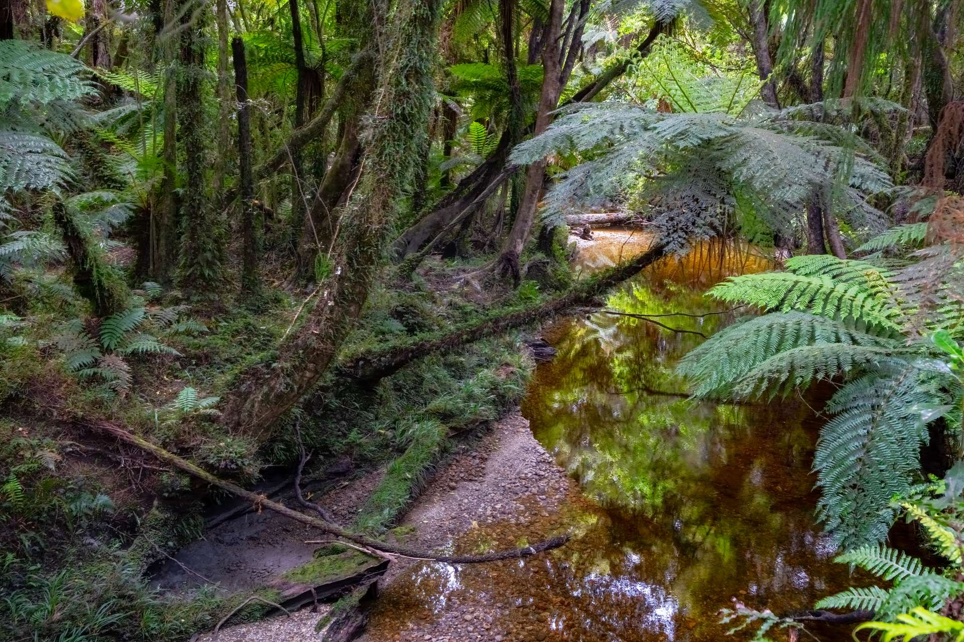 0 Arawata, Jackson Bay photo 6